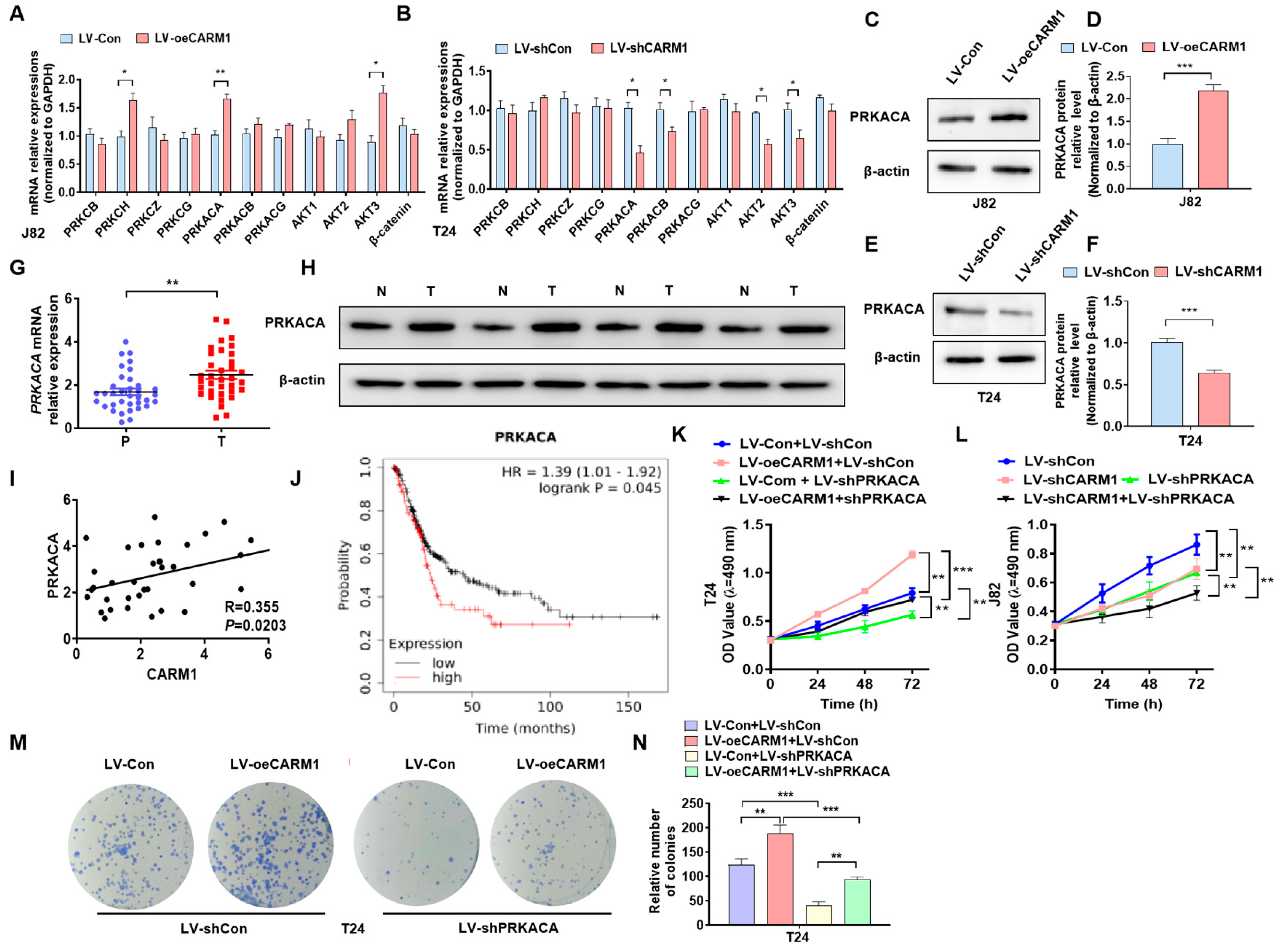 Cancers 16 00139 g005