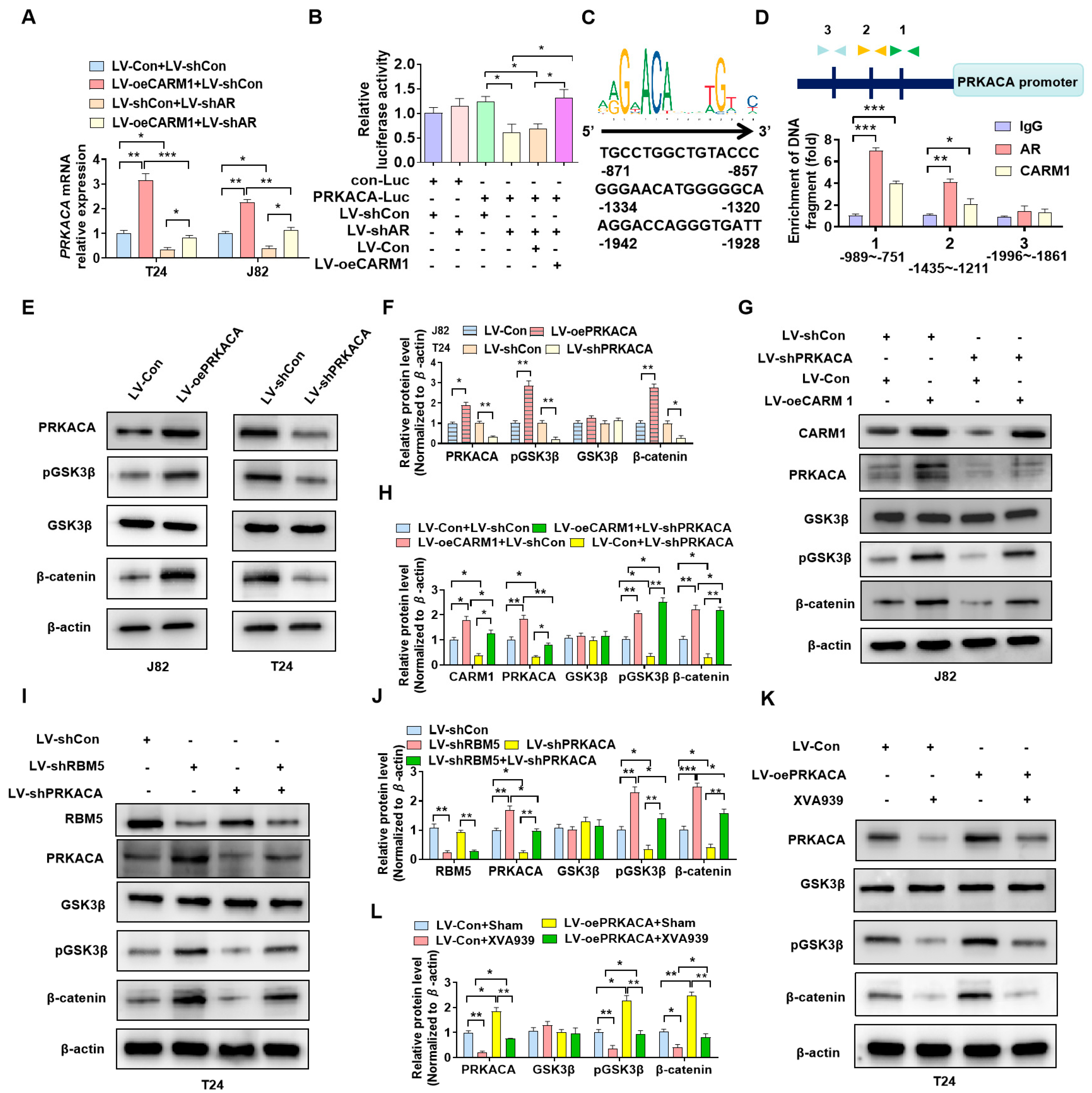 Cancers 16 00139 g006