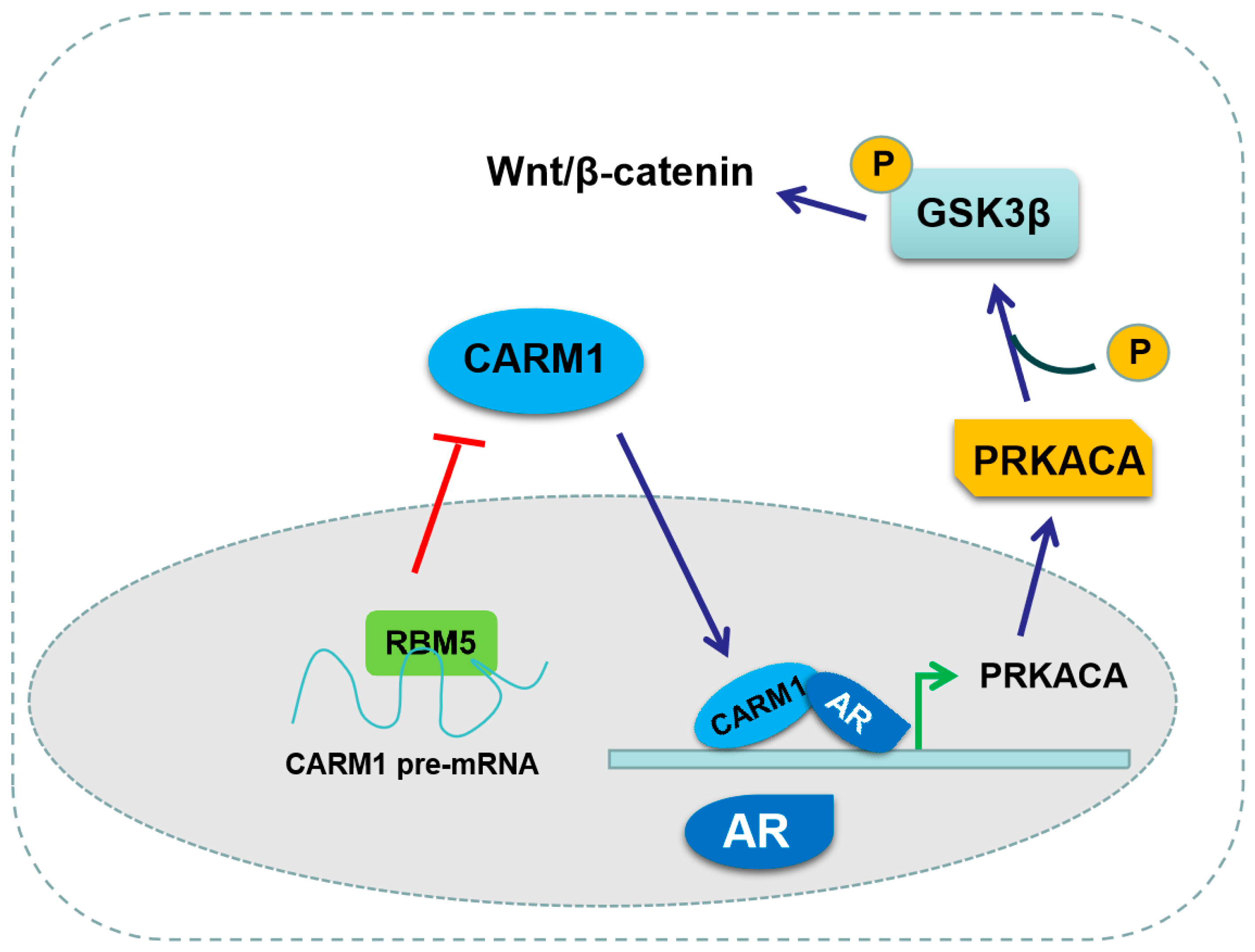 Cancers 16 00139 g008