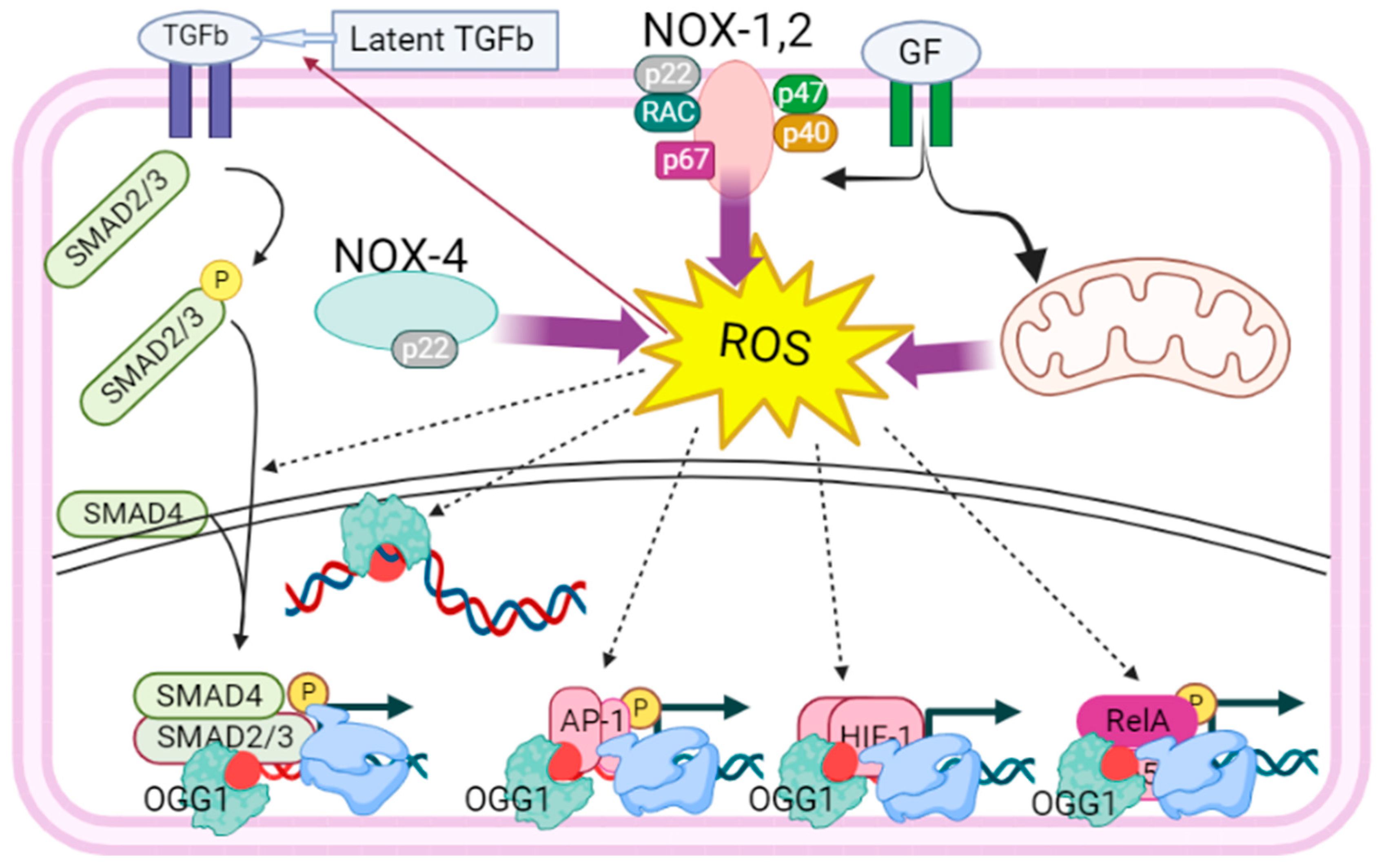 Cancers 16 00148 g001