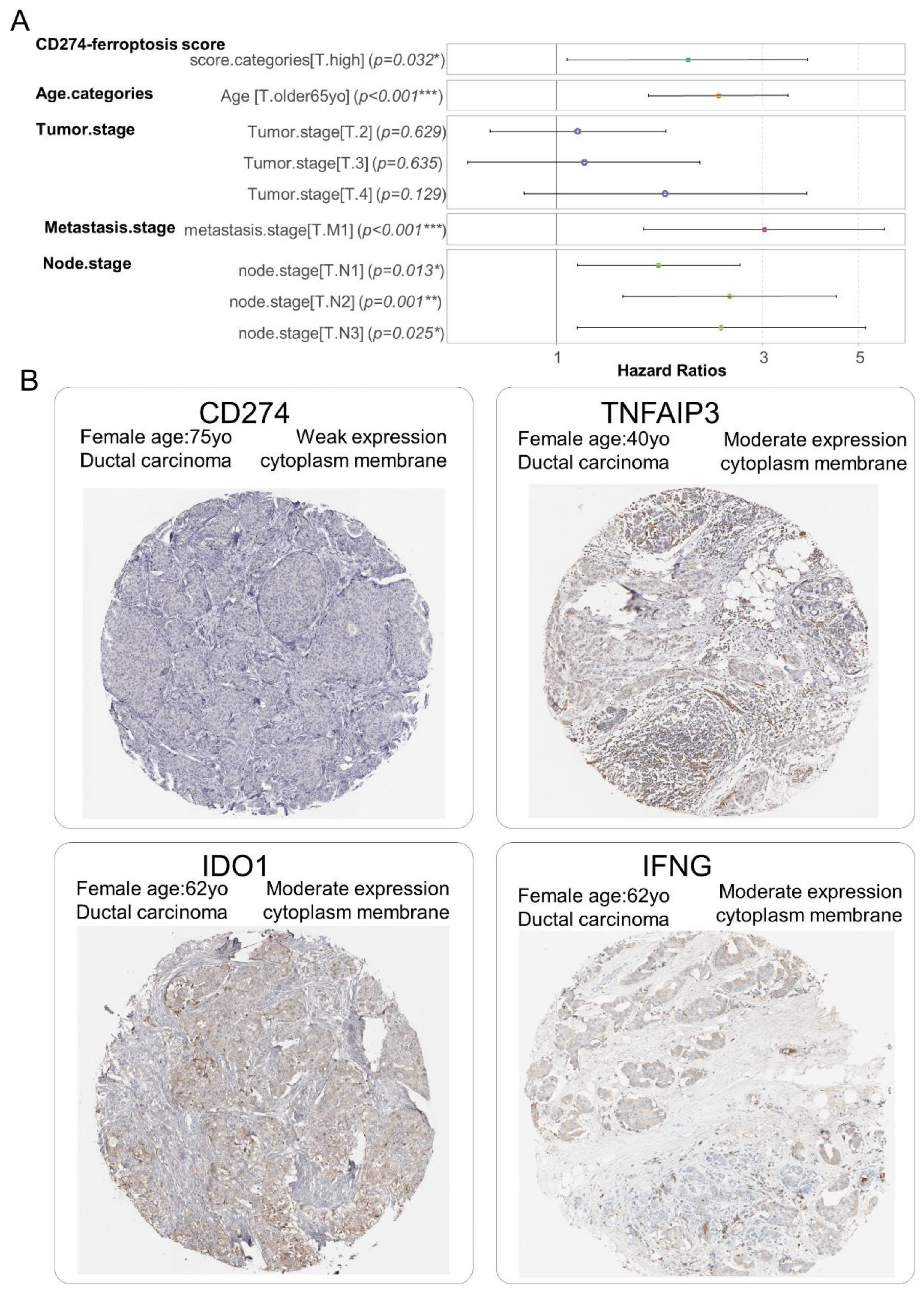 Cancers 16 00155 g009