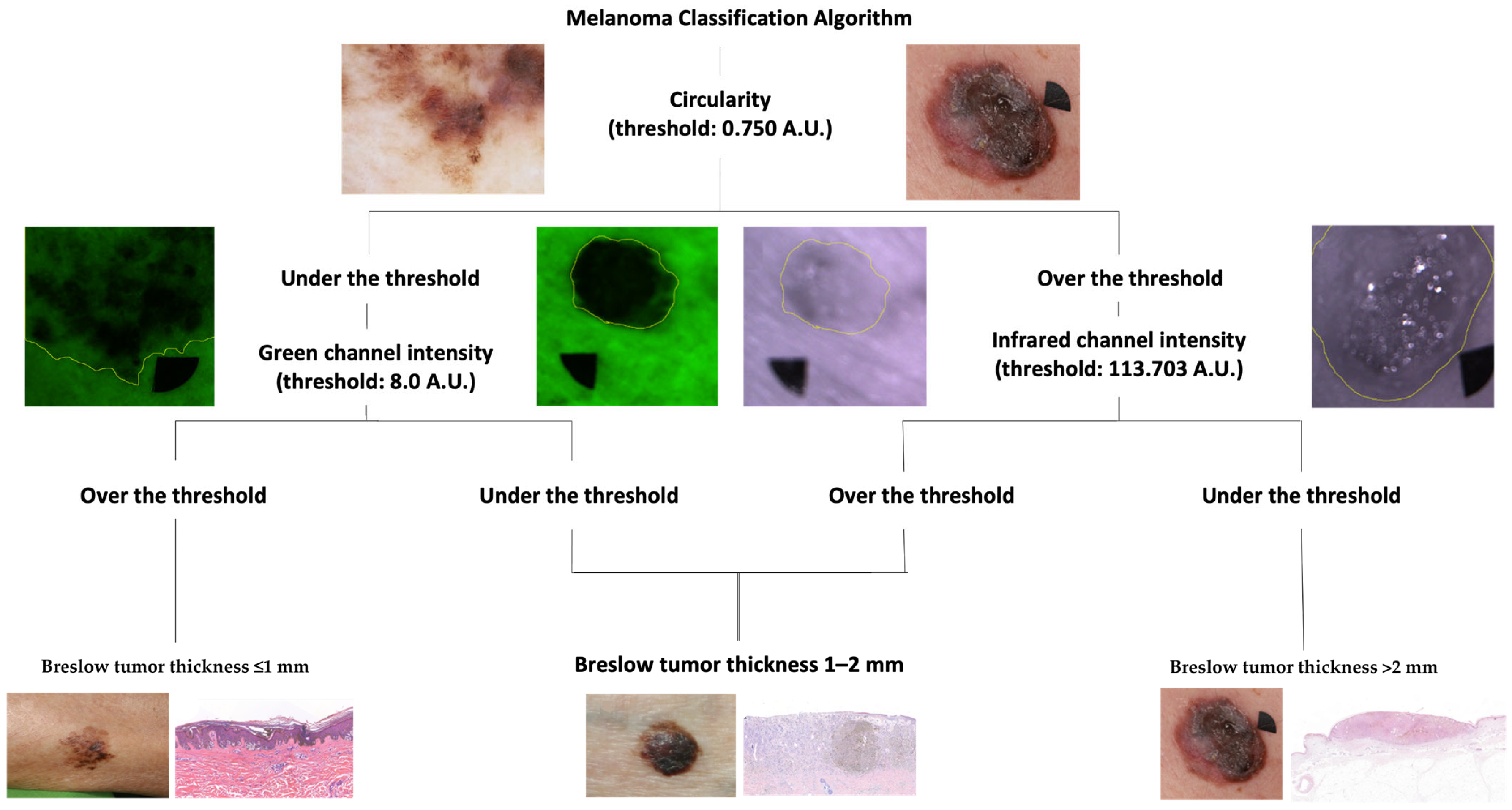 Cancers 16 00157 g001