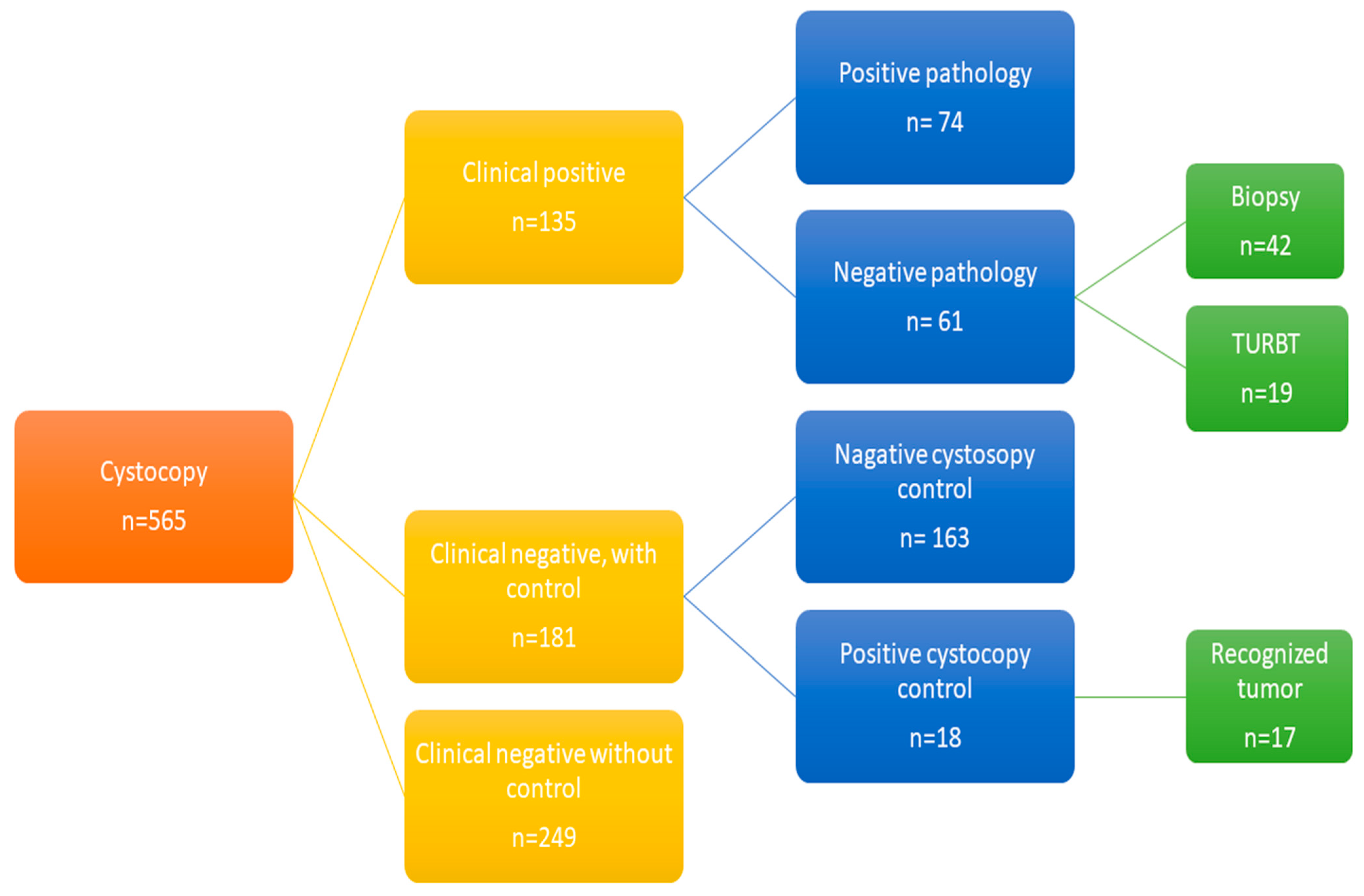 Cancers 16 00160 g001 Cancers 16 00160 g001