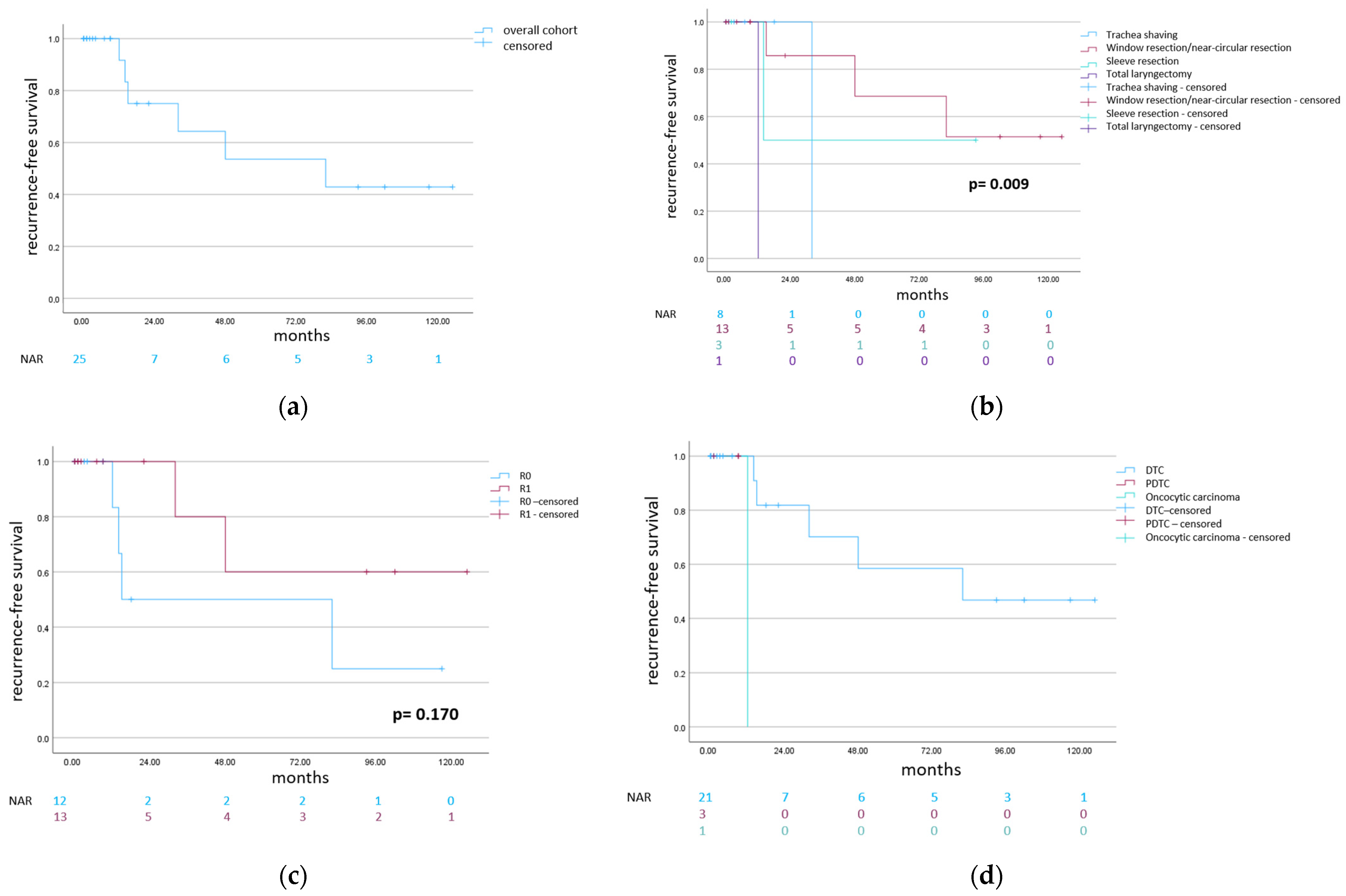 Cancers 16 00163 g003