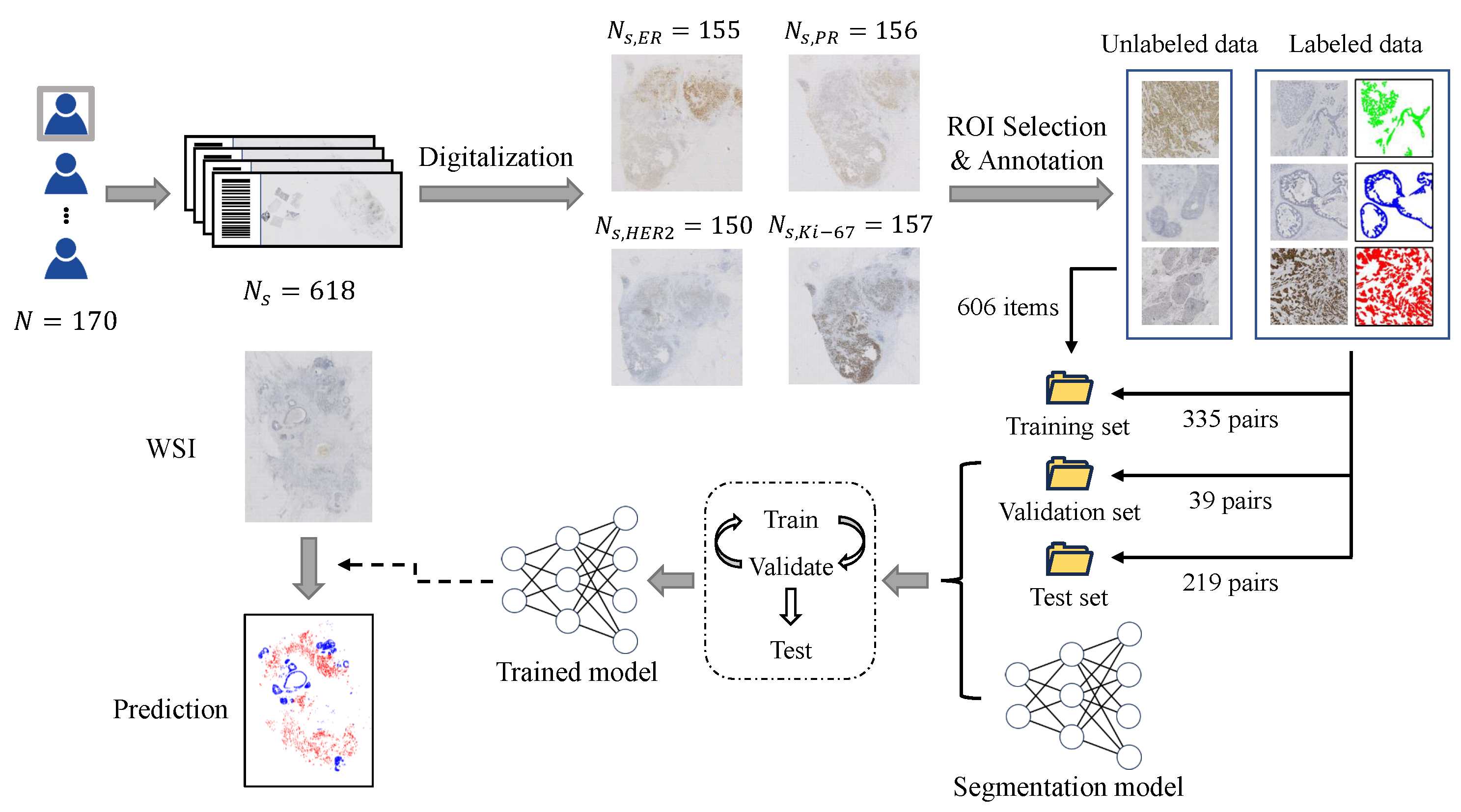 Cancers 16 00167 g001
