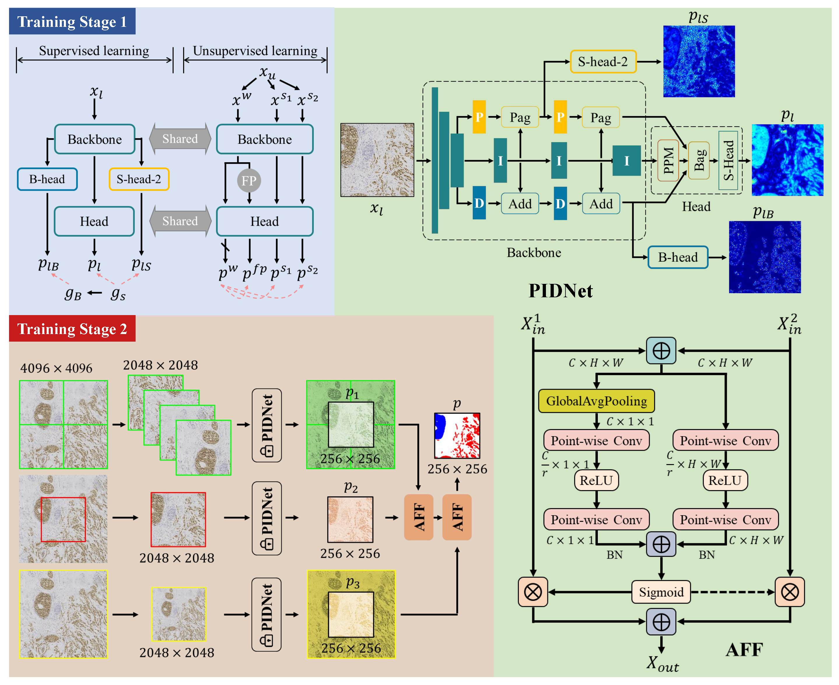Cancers 16 00167 g002