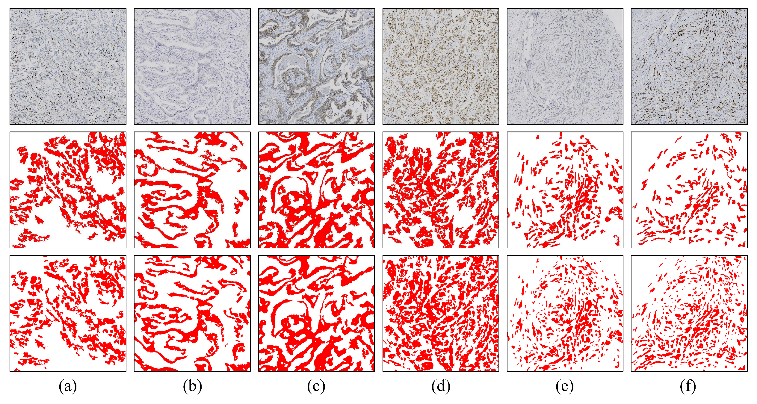 Cancers 16 00167 g004