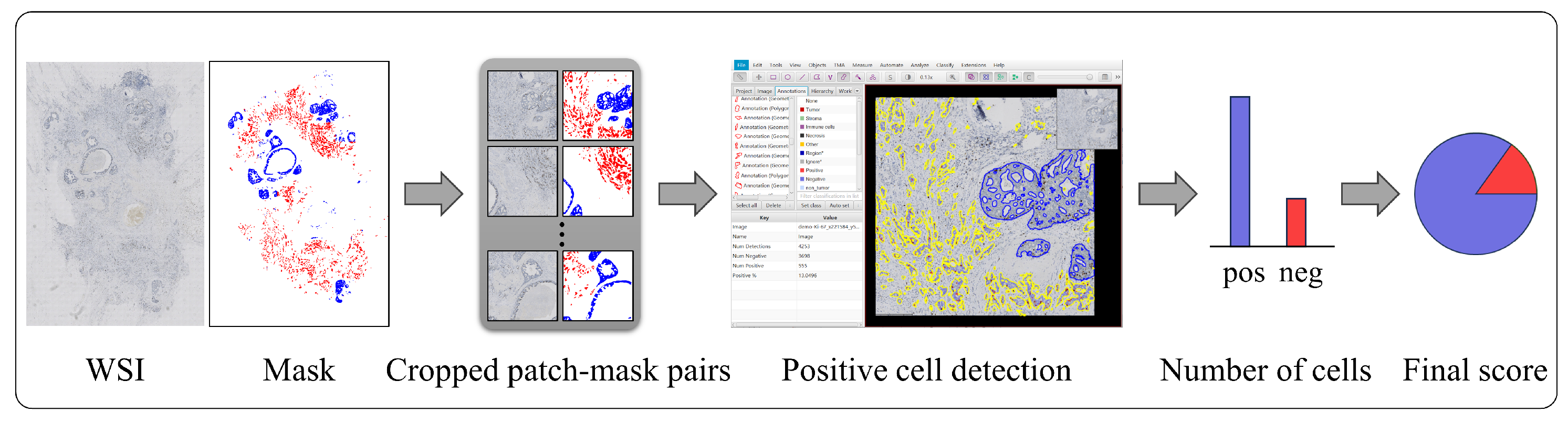 Cancers 16 00167 g007