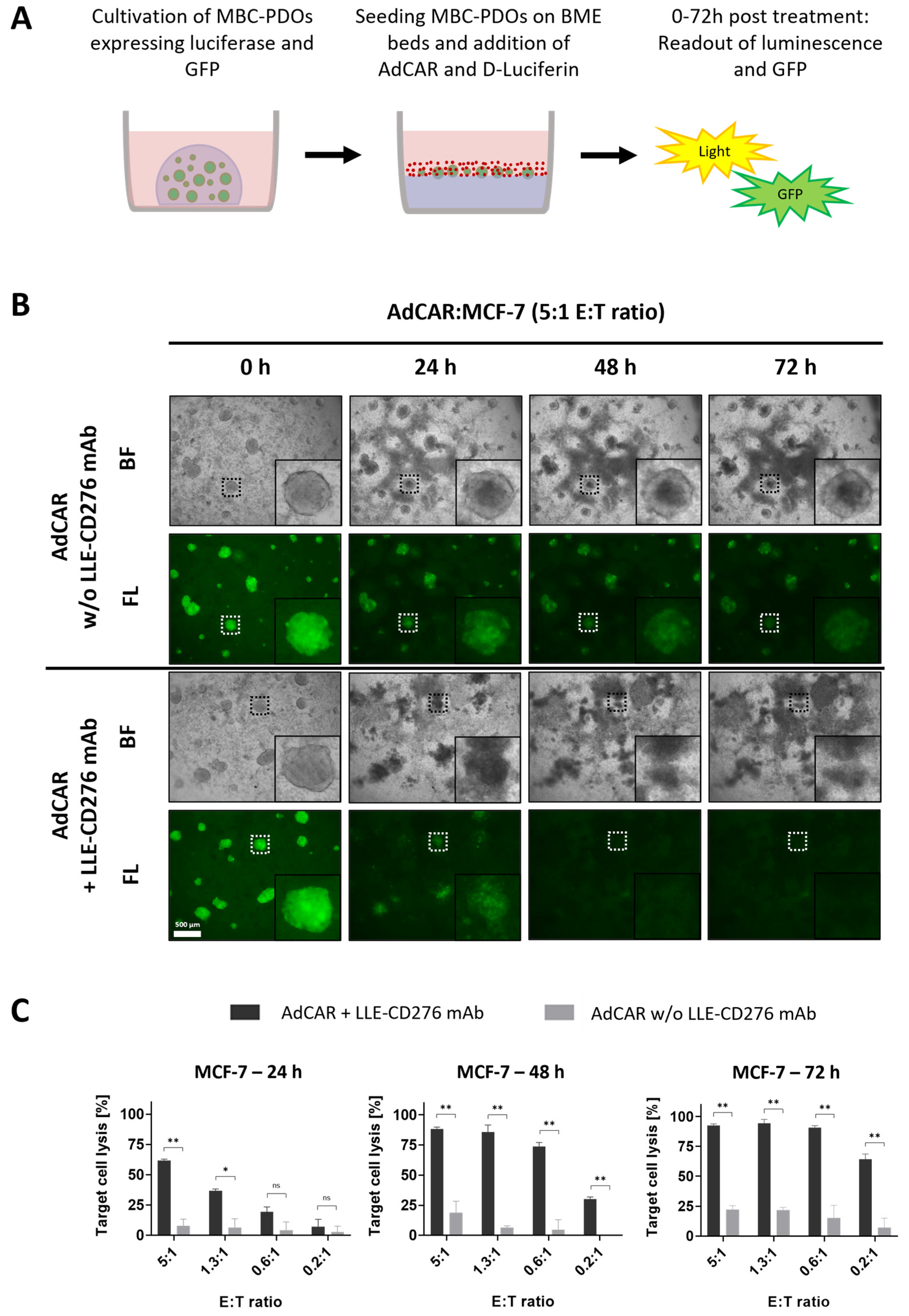 Cancers 16 00168 g003