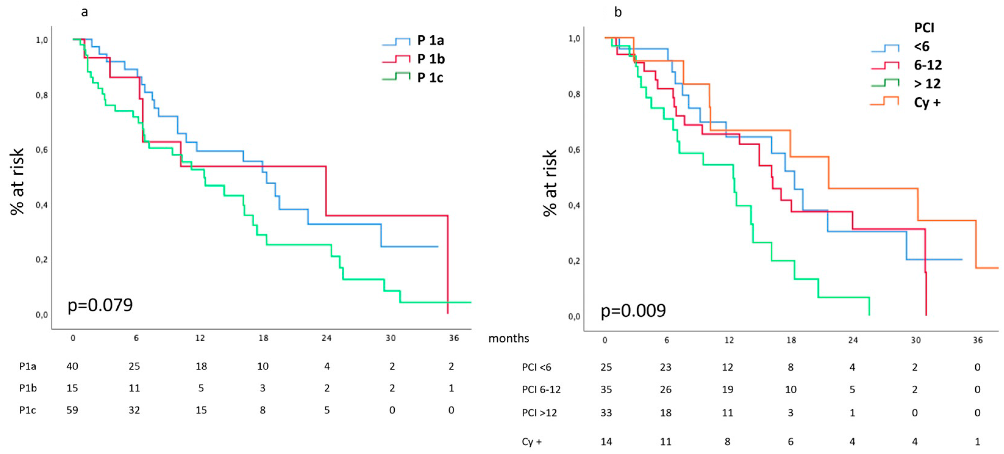 Cancers 16 00170 g002