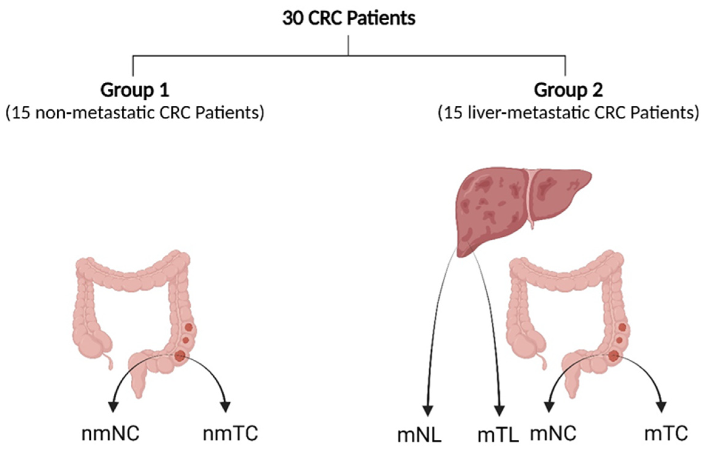 Cancers 16 00171 g001