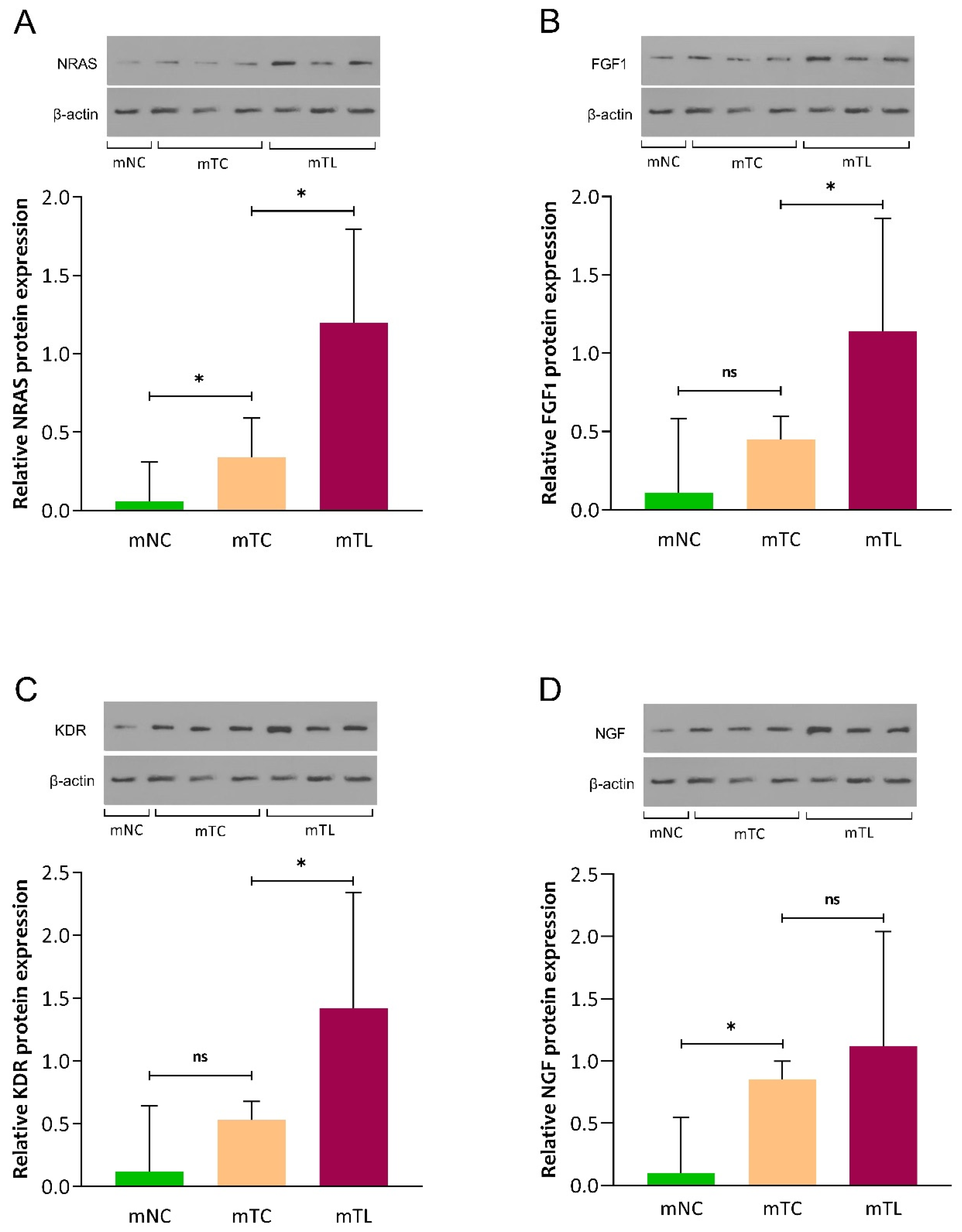 Cancers 16 00171 g004