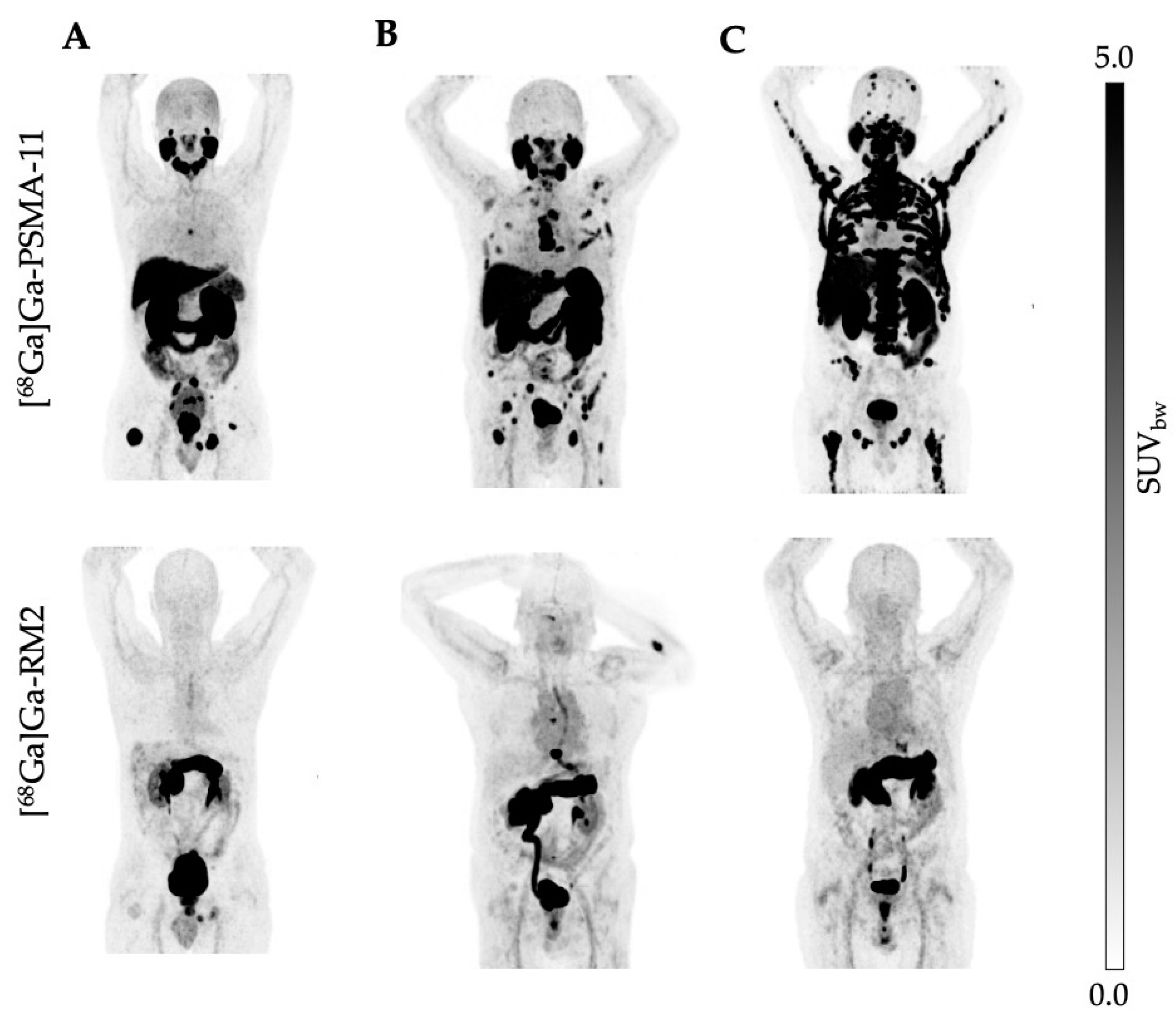 Cancers 16 00173 g002