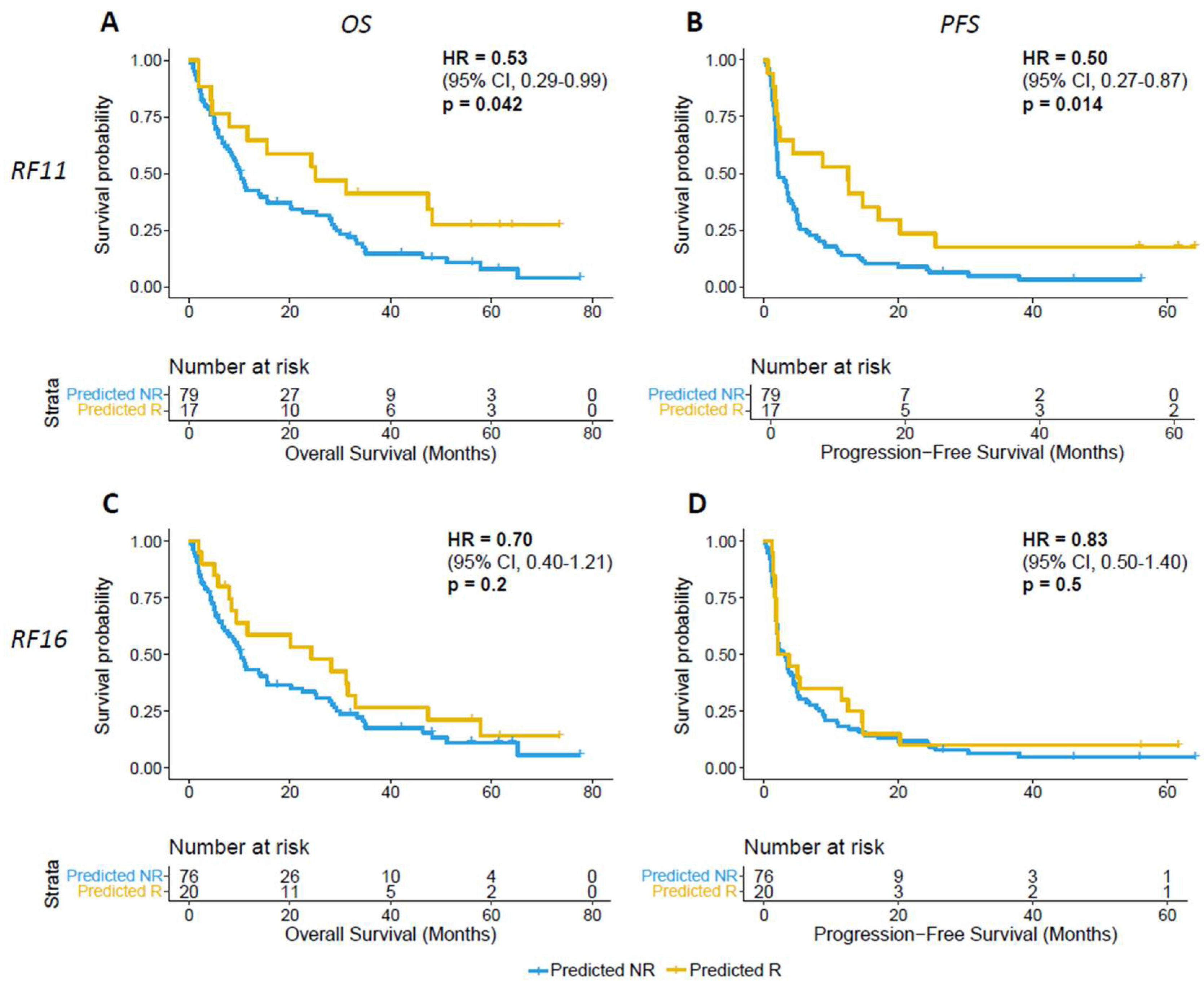 Cancers 16 00175 g004