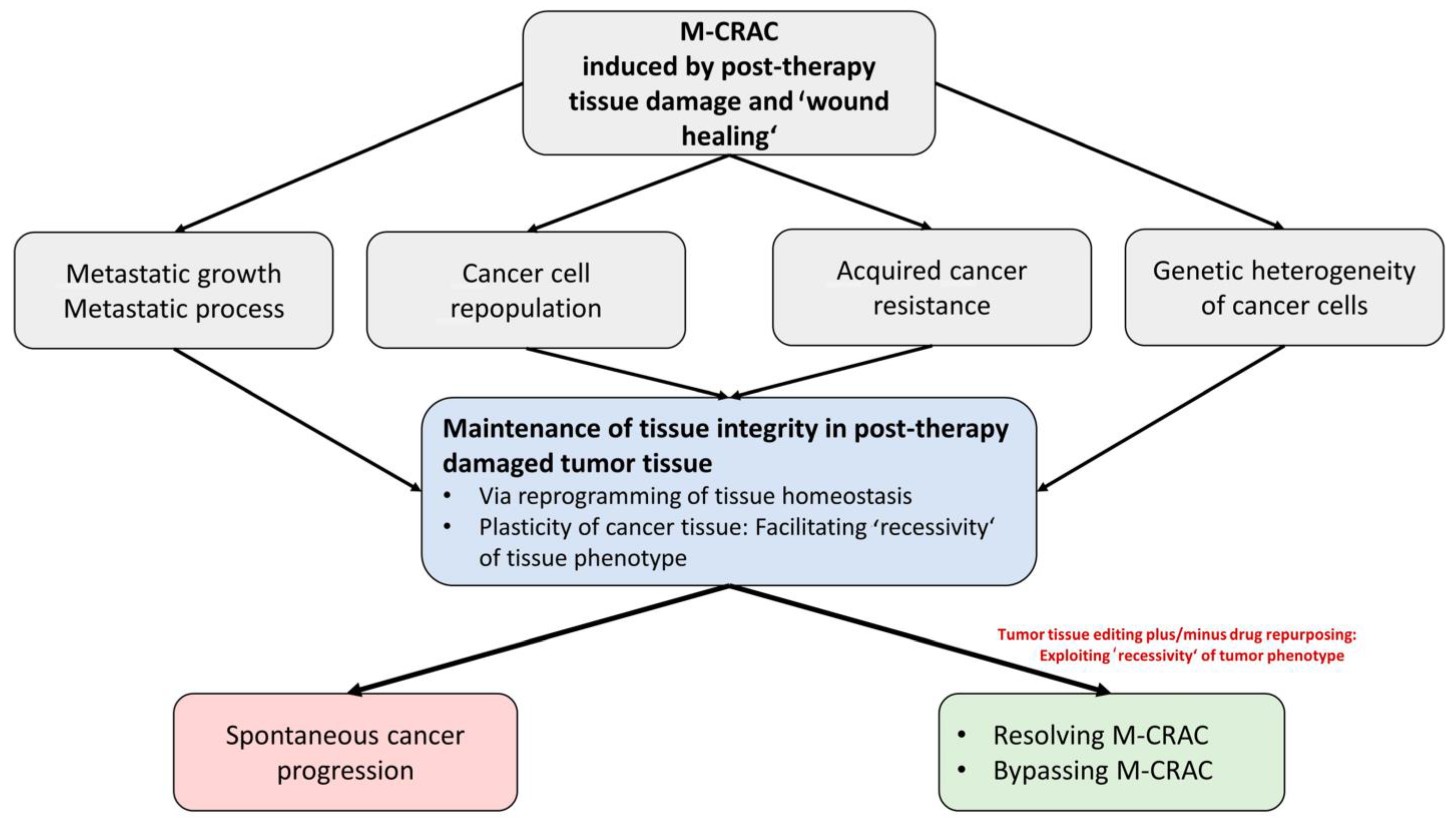 Cancers 16 00180 g002 Cancers 16 00180 g002