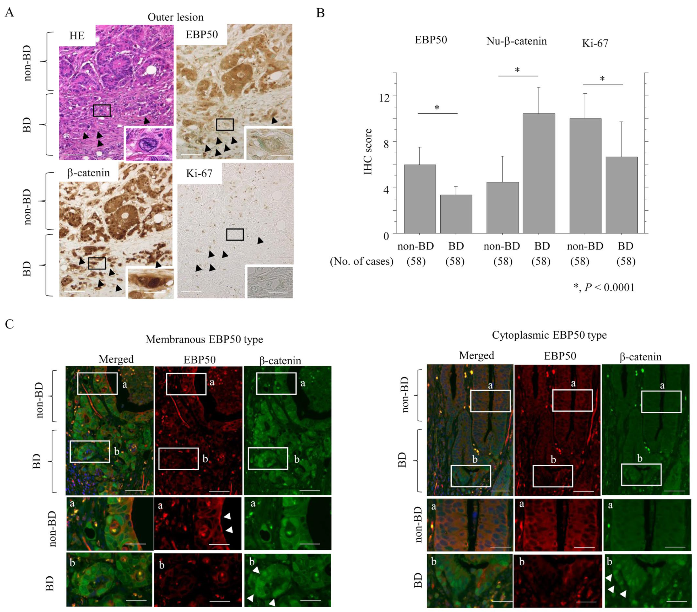 Cancers 16 00183 g001