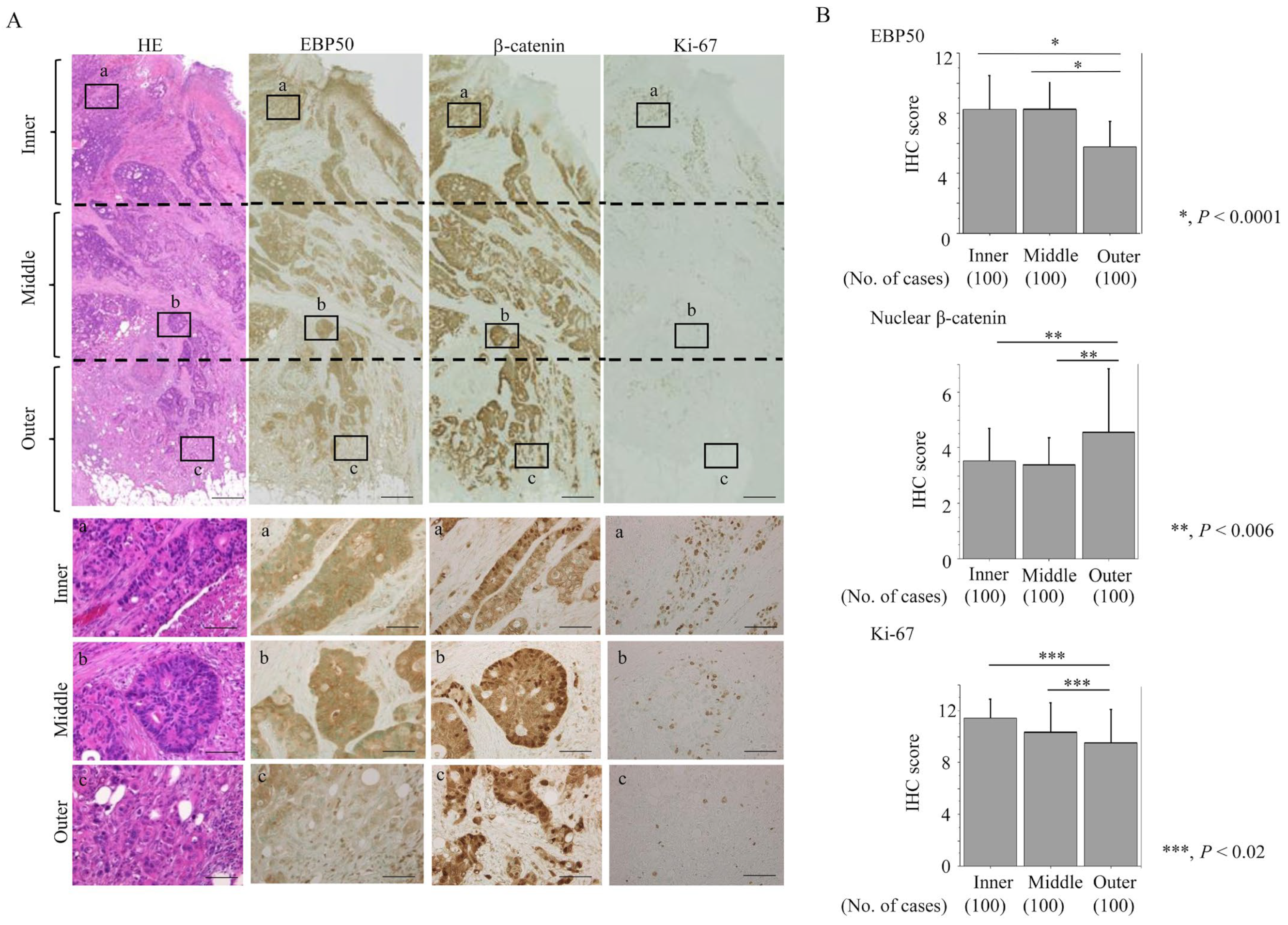 Cancers 16 00183 g002