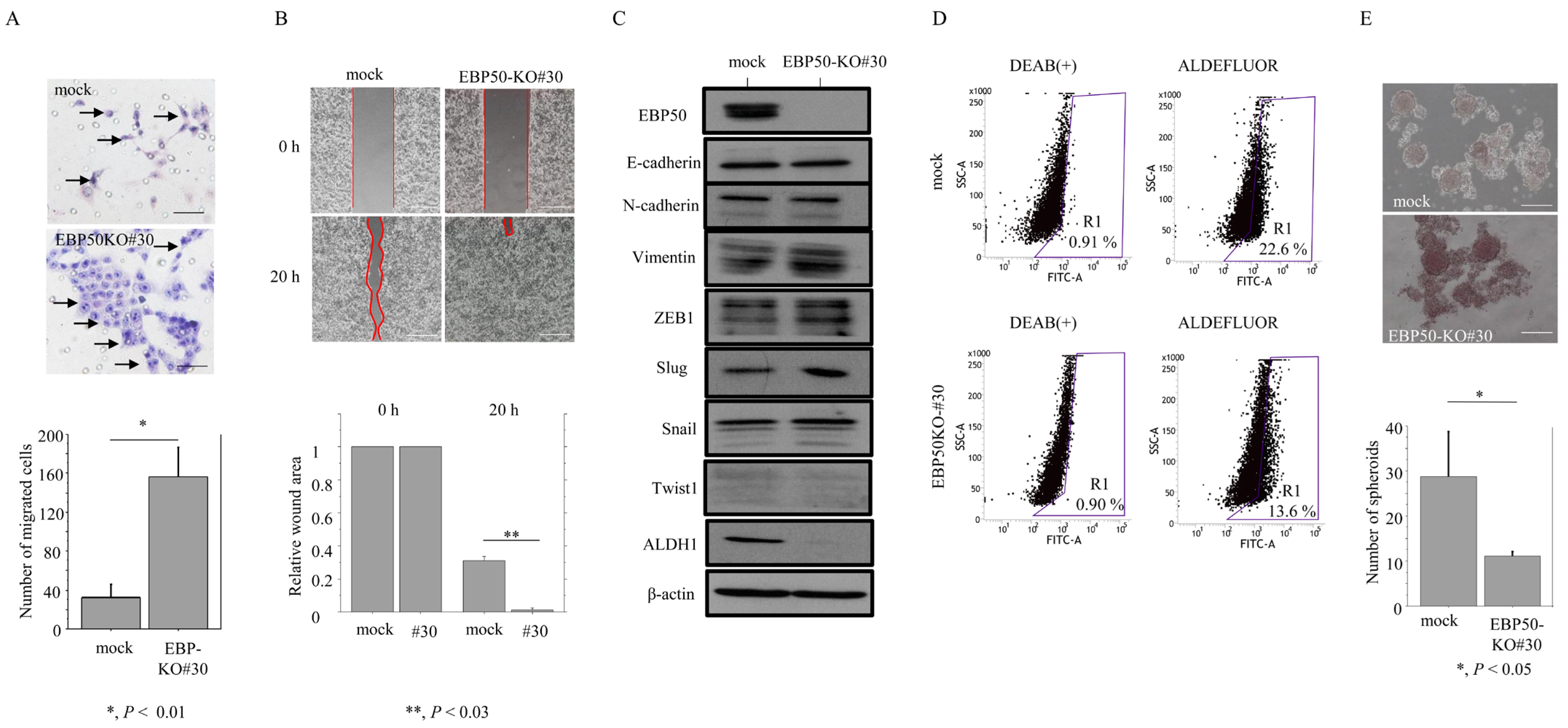 Cancers 16 00183 g004
