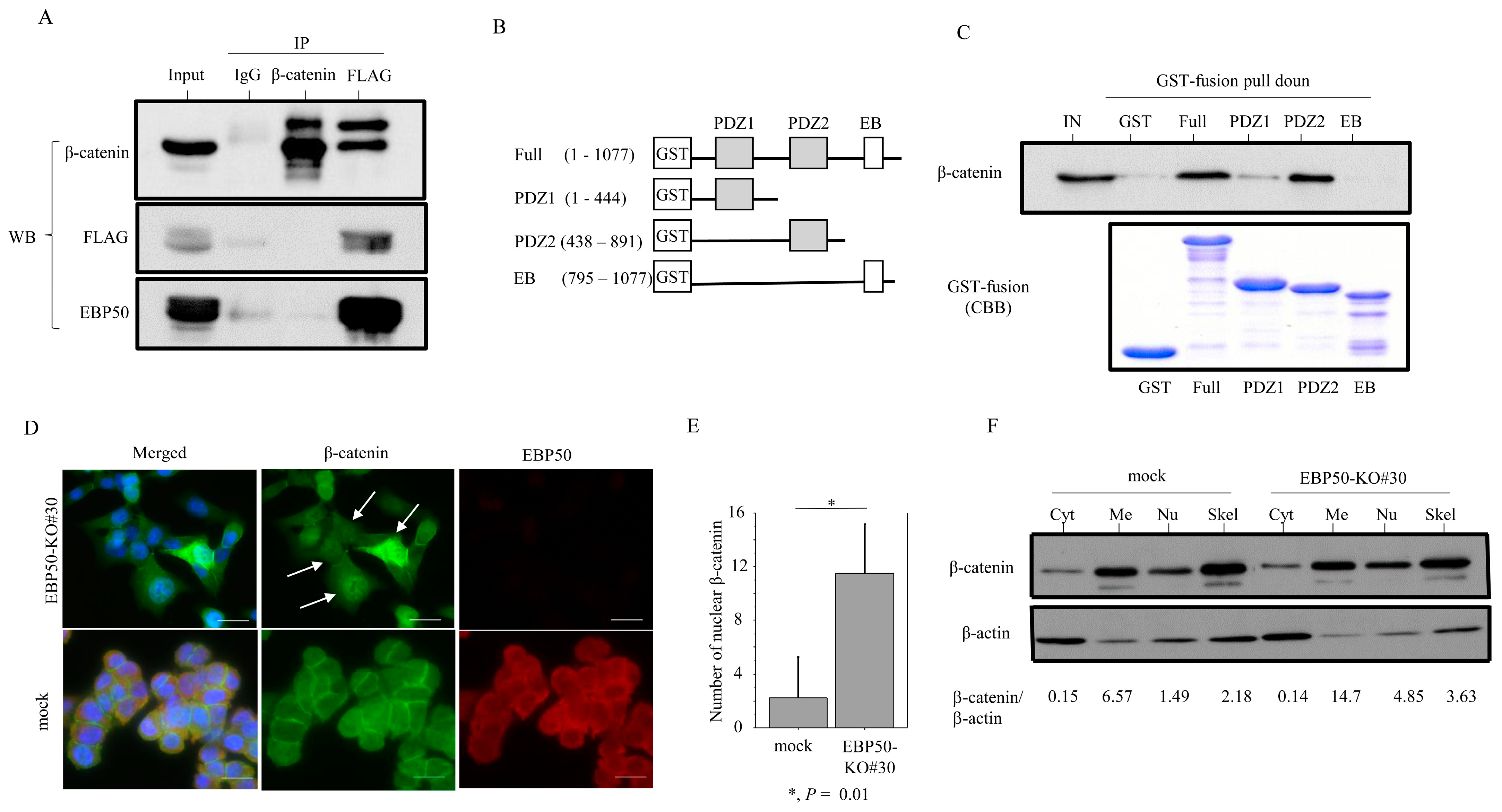 Cancers 16 00183 g005