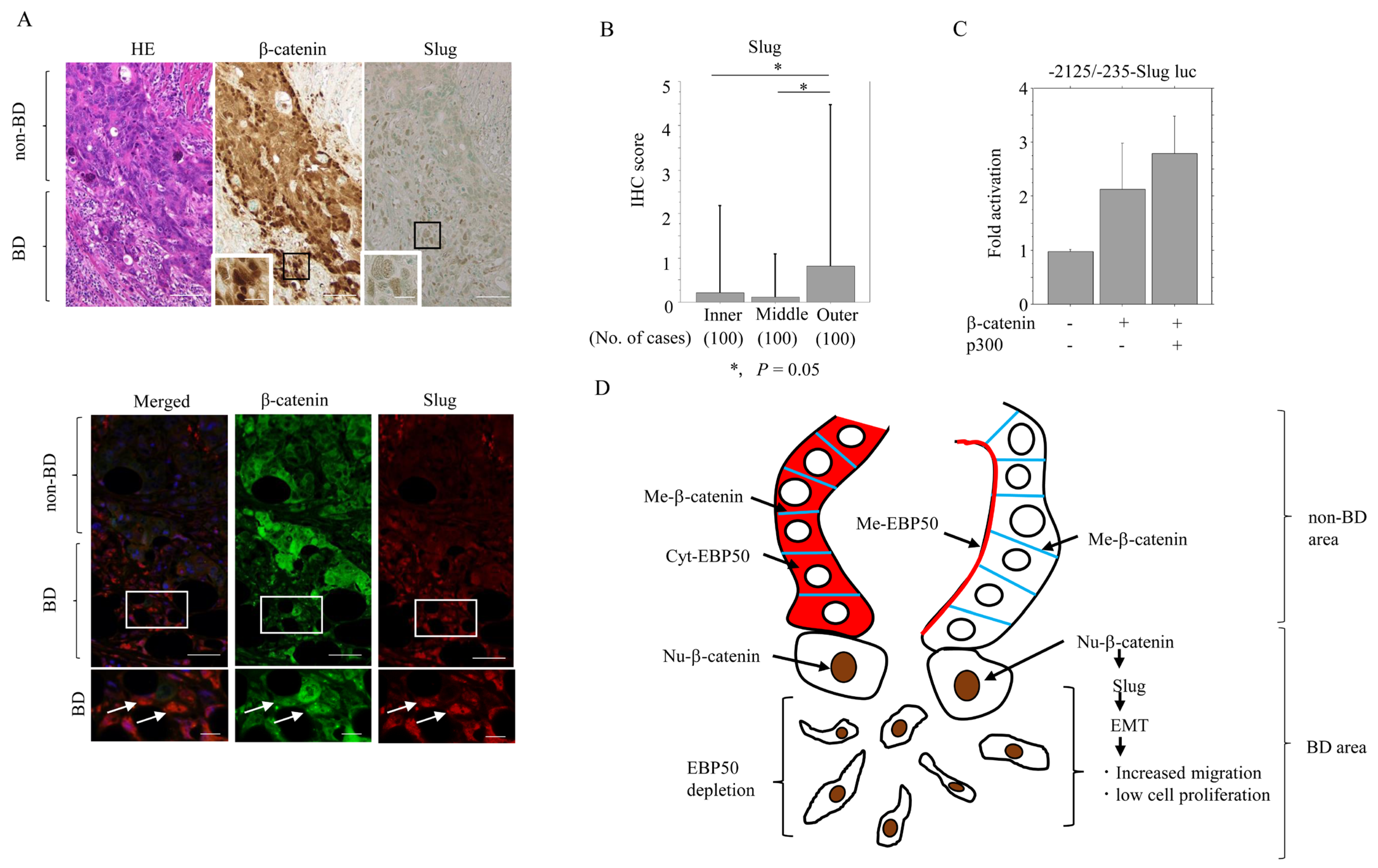 Cancers 16 00183 g006