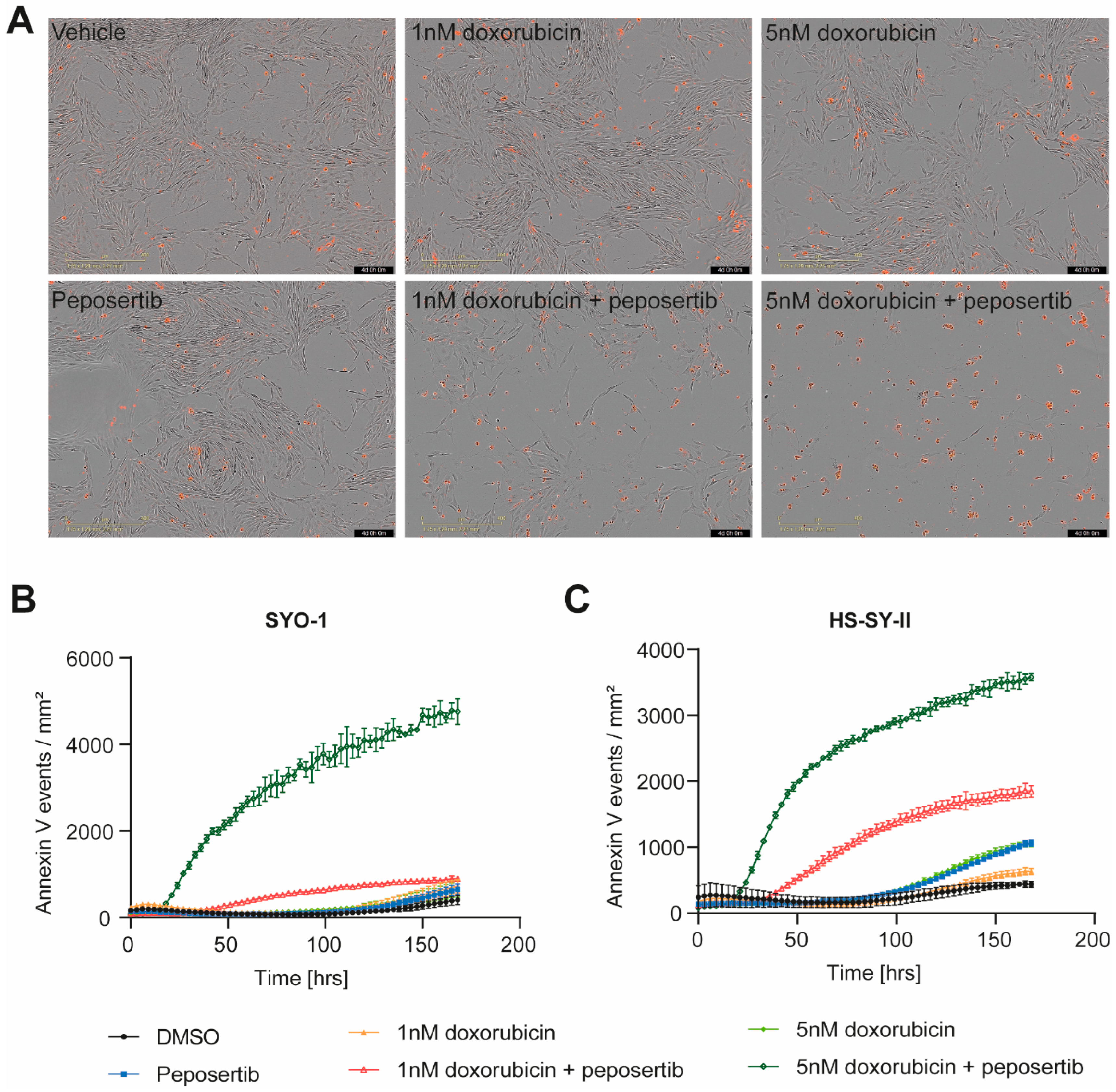 Cancers 16 00189 g002