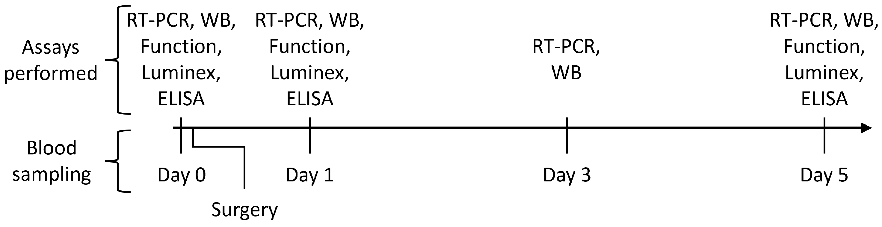 Cancers 16 00190 g001