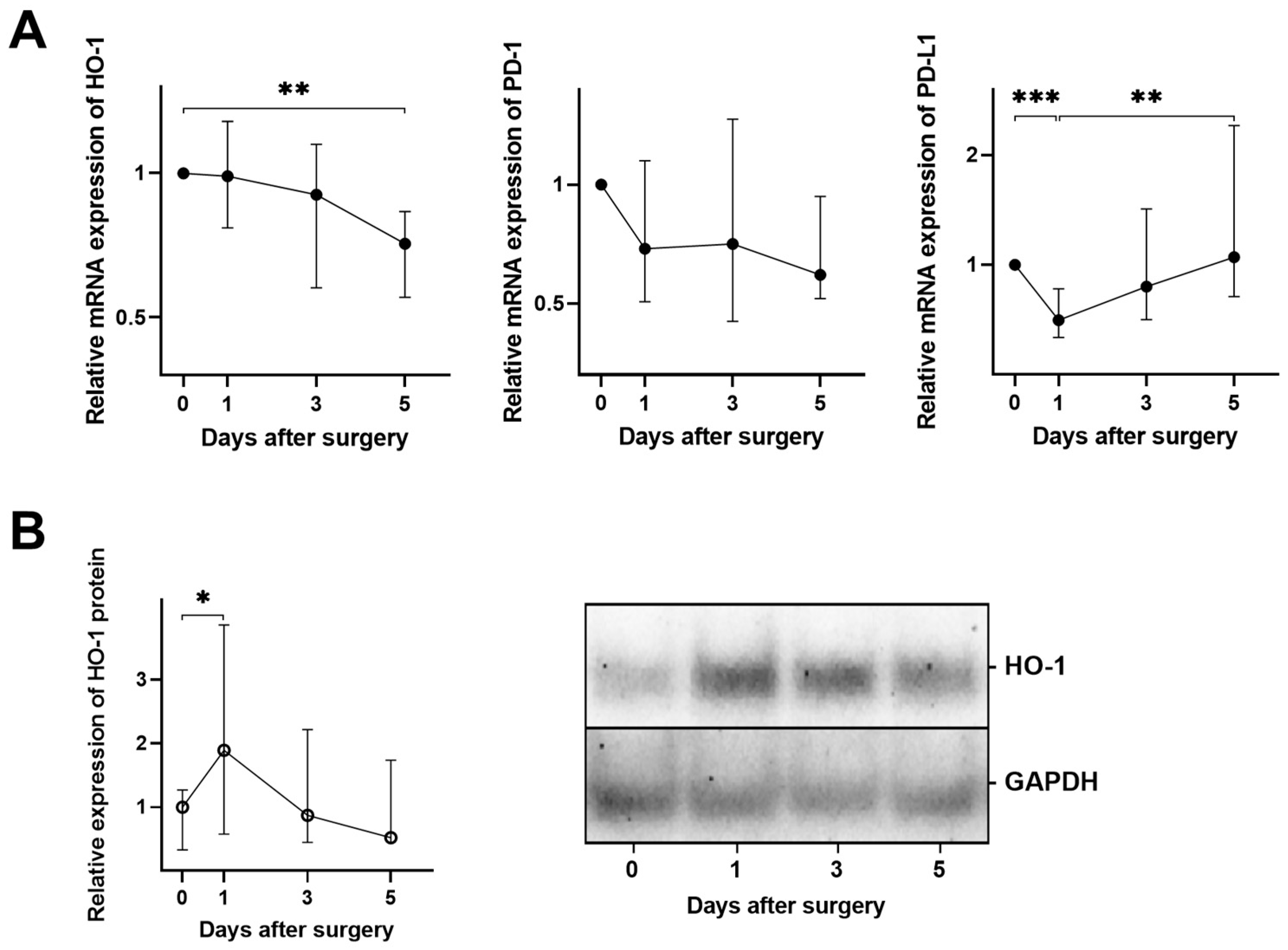 Cancers 16 00190 g004