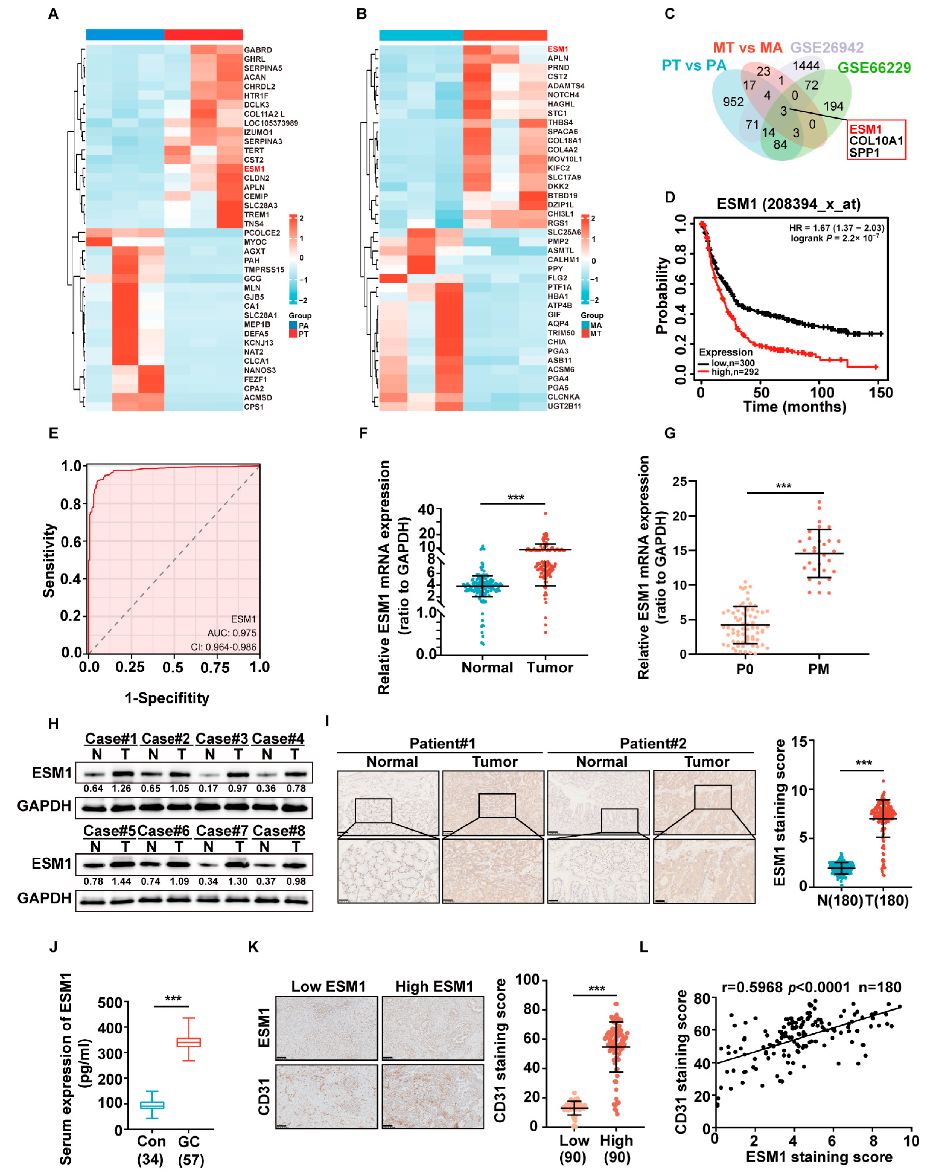 Cancers 16 00194 g001