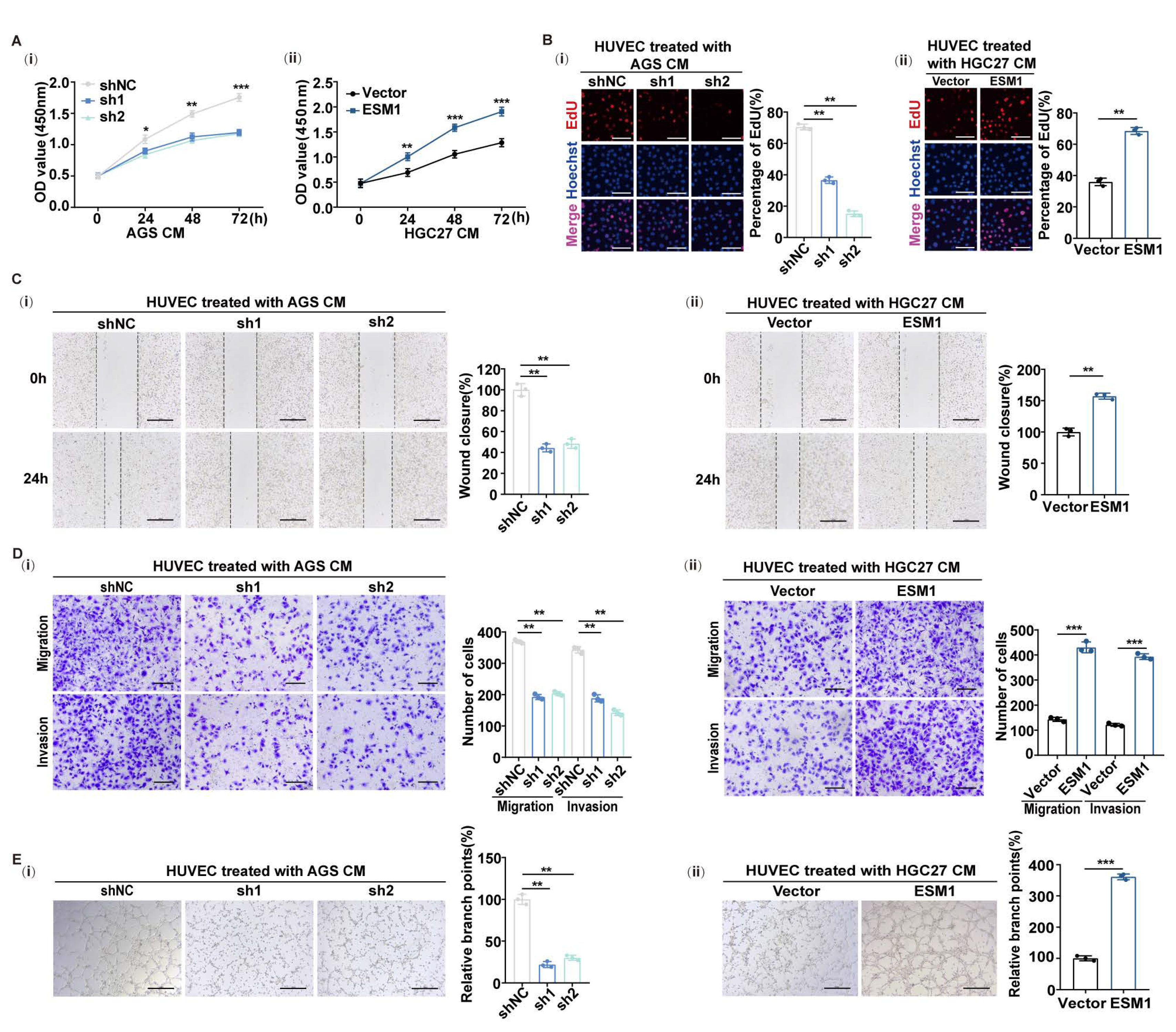 Cancers 16 00194 g002