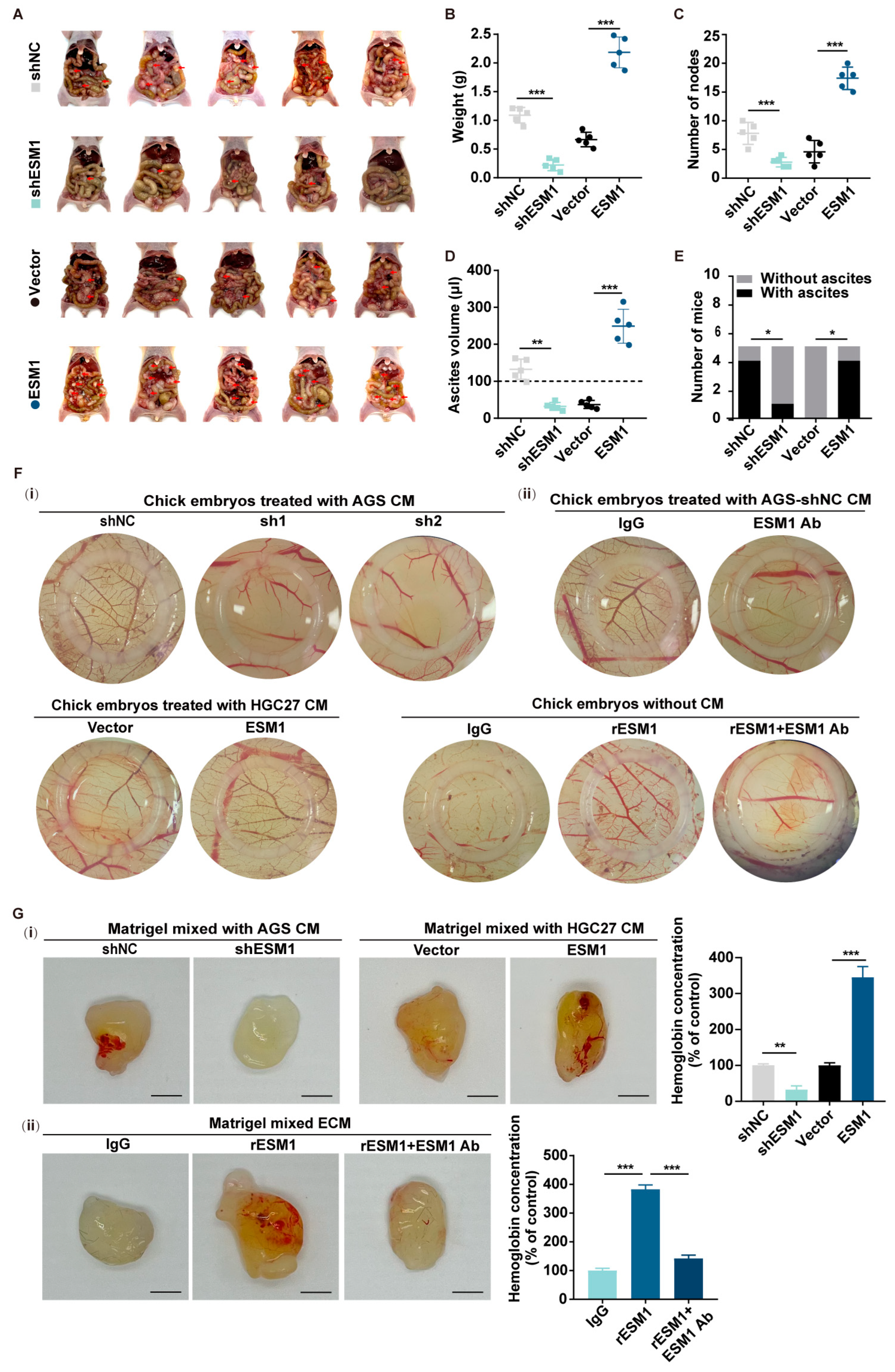 Cancers 16 00194 g003