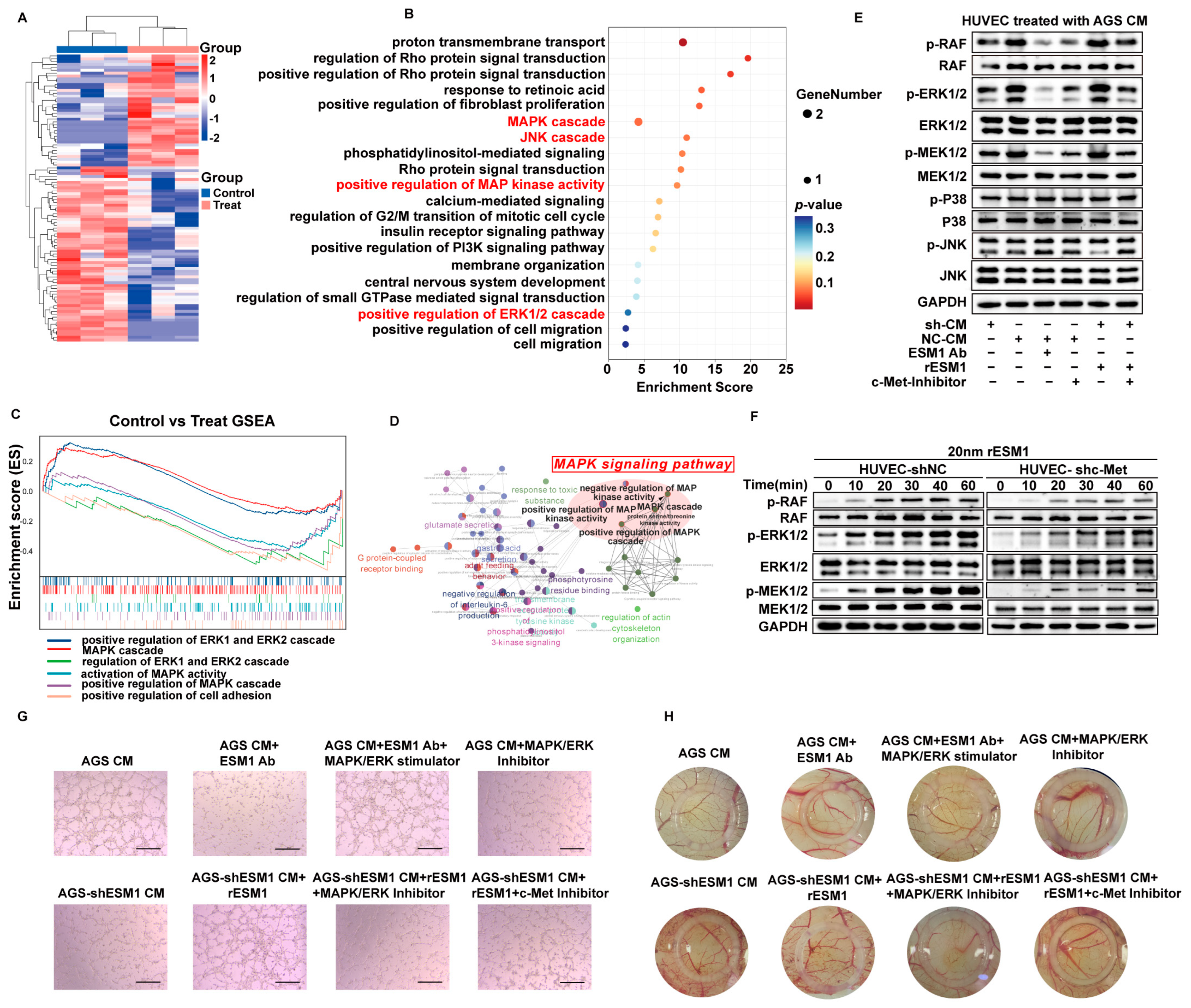 Cancers 16 00194 g005