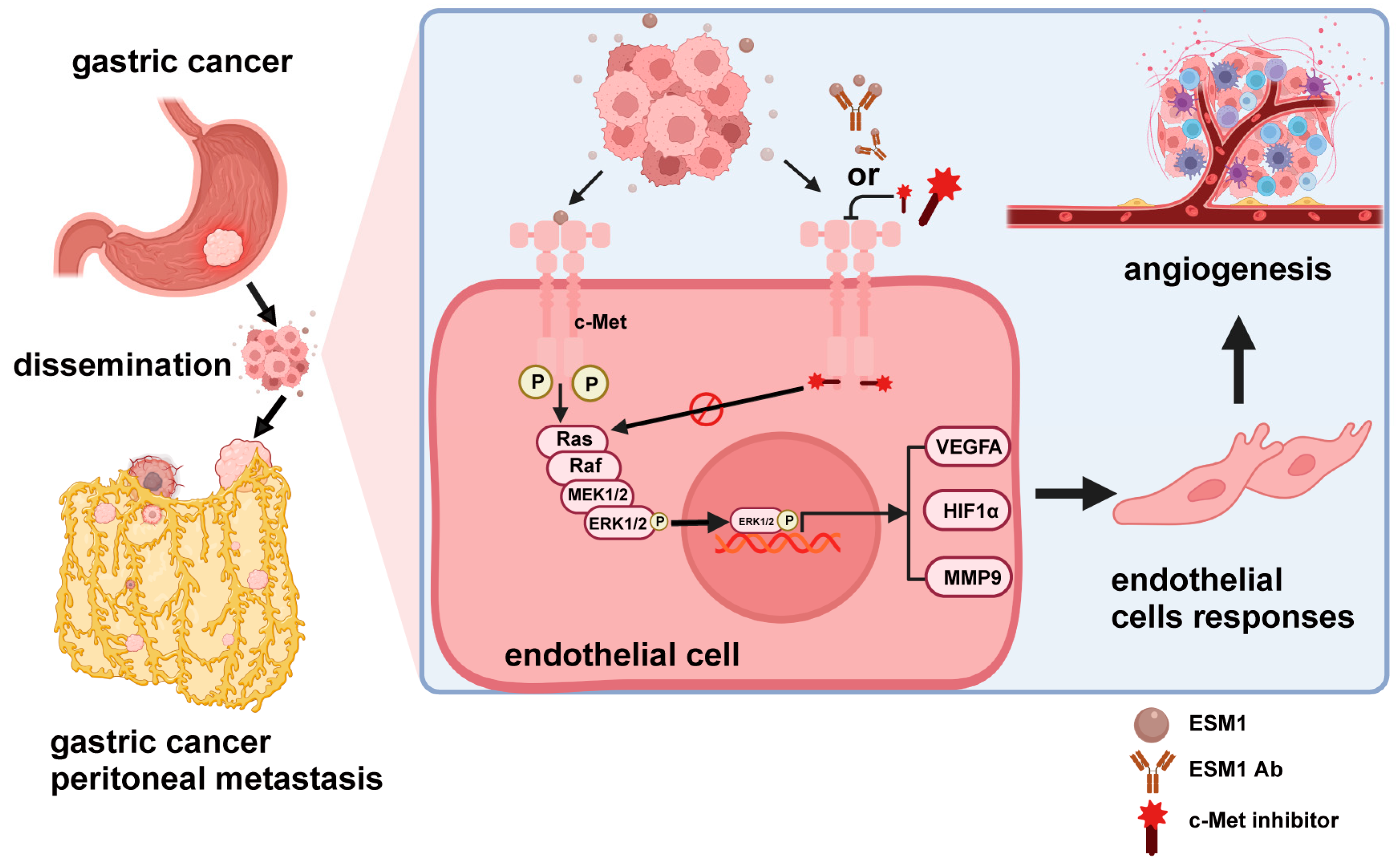 Cancers 16 00194 g007