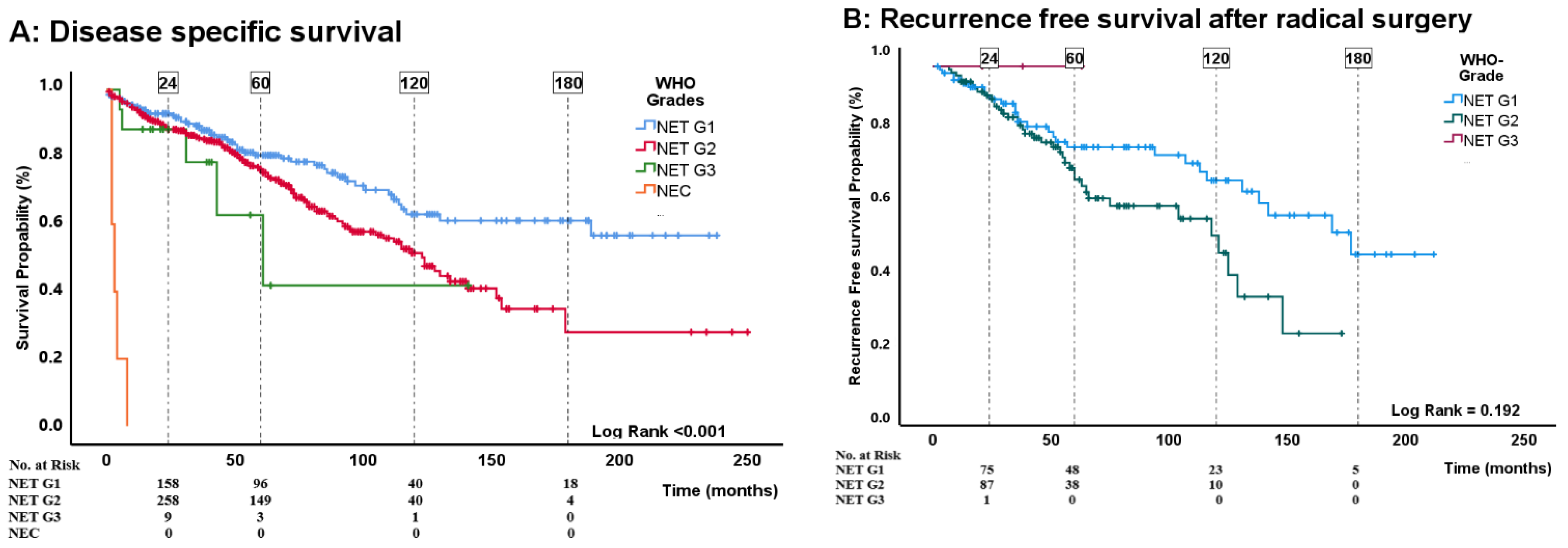 Cancers 16 00204 g002a