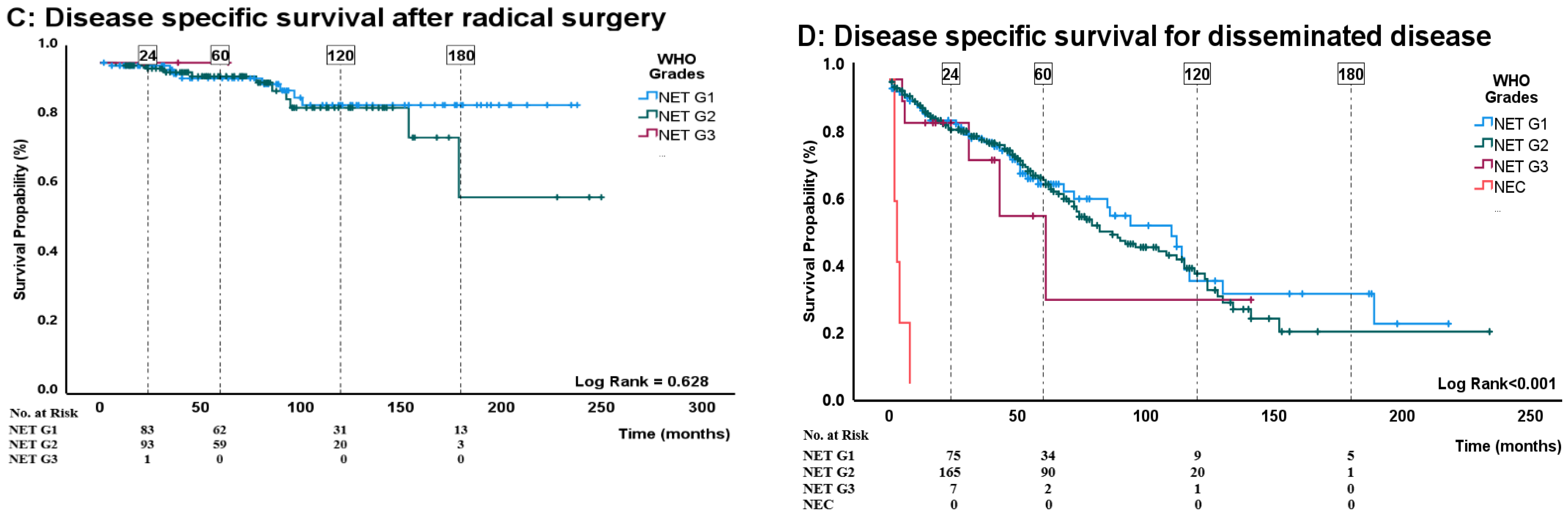 Cancers 16 00204 g002b