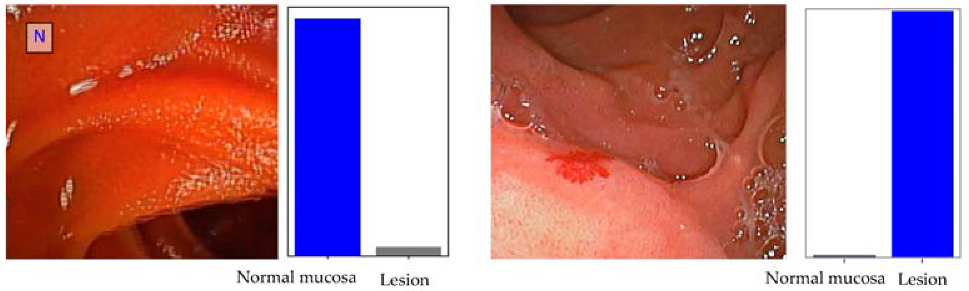 Cancers 16 00208 g002