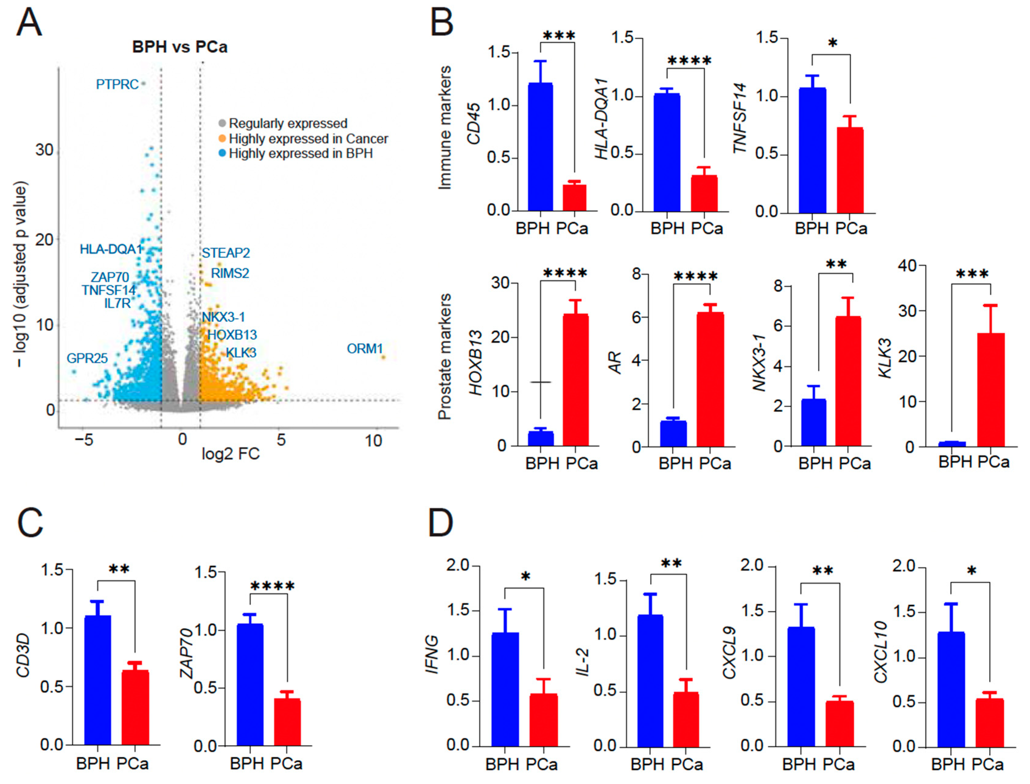 Cancers 16 00213 g002