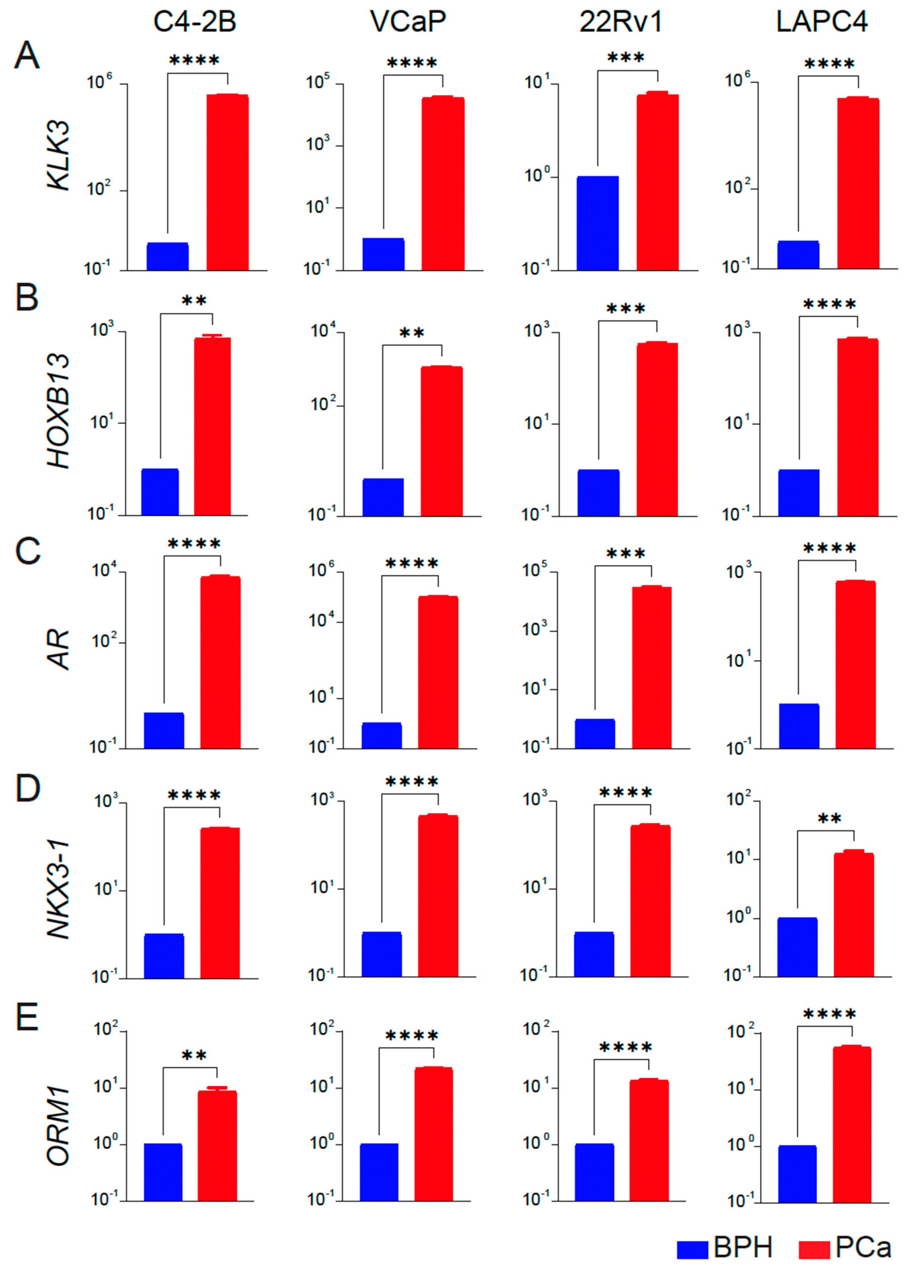 Cancers 16 00213 g004