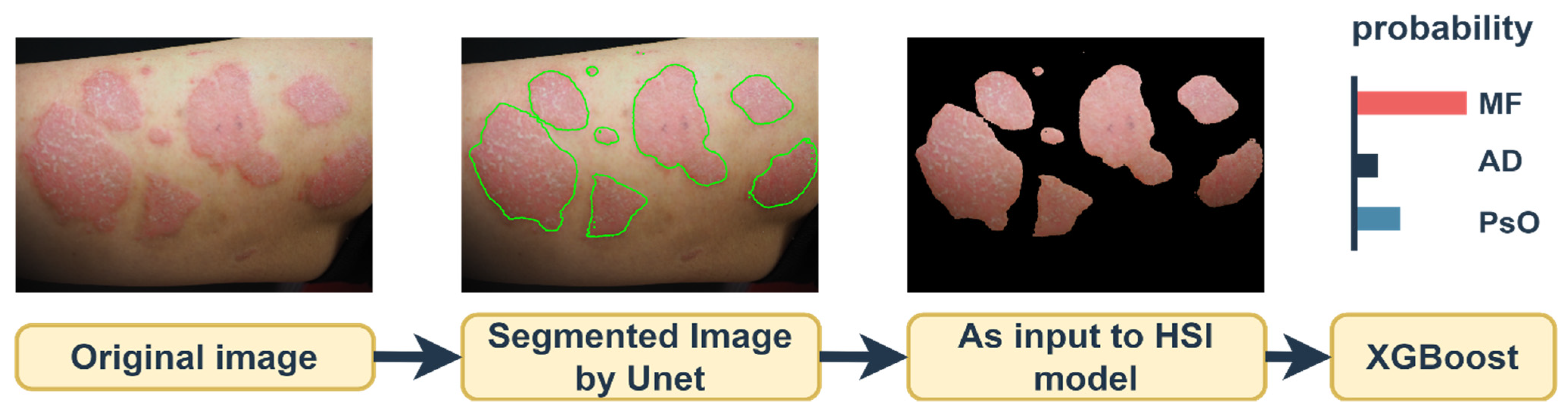 Cancers 16 00217 g002