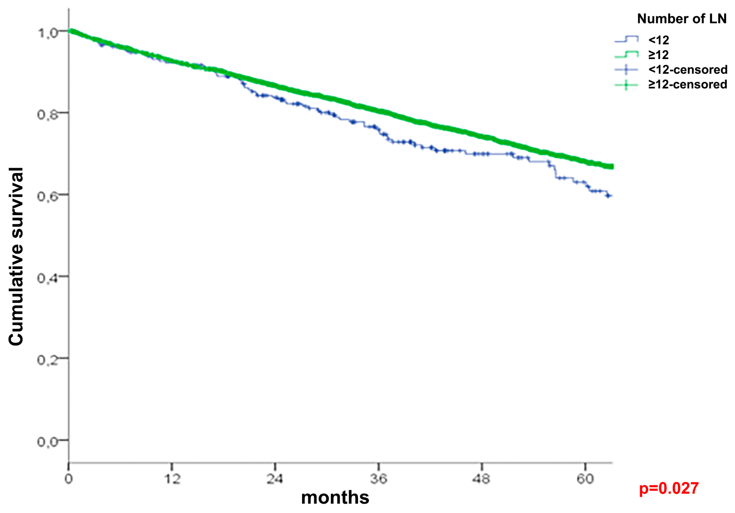 Cancers 16 00218 g001 Cancers 16 00218 g001