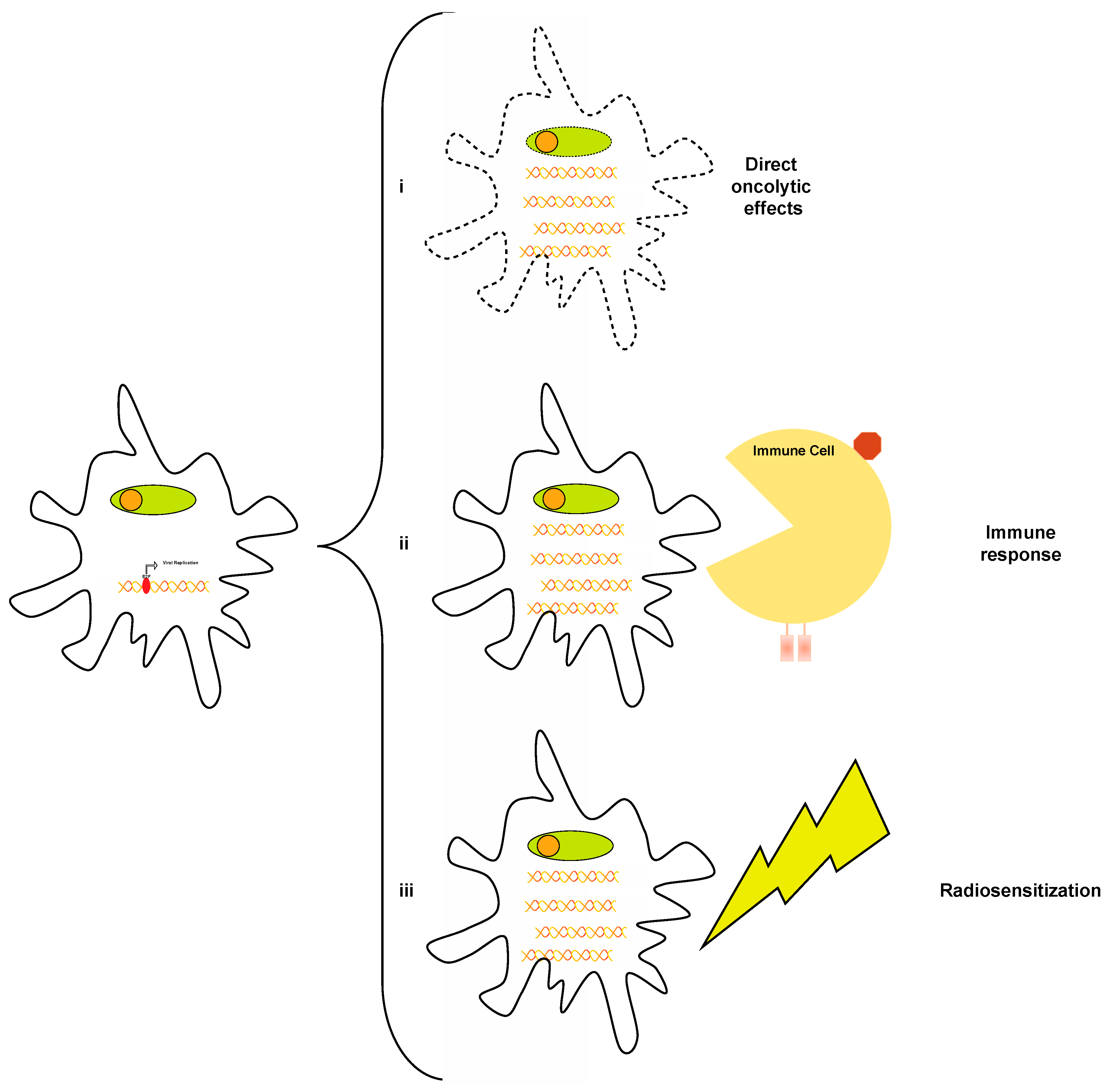 Cancers 16 00219 g003
