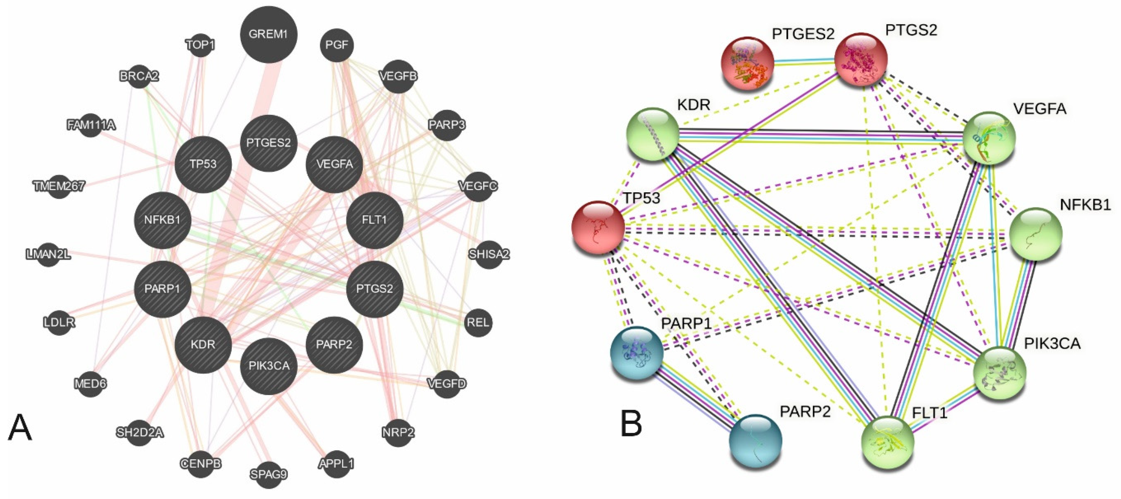 Cancers 16 00223 g001 Cancers 16 00223 g001