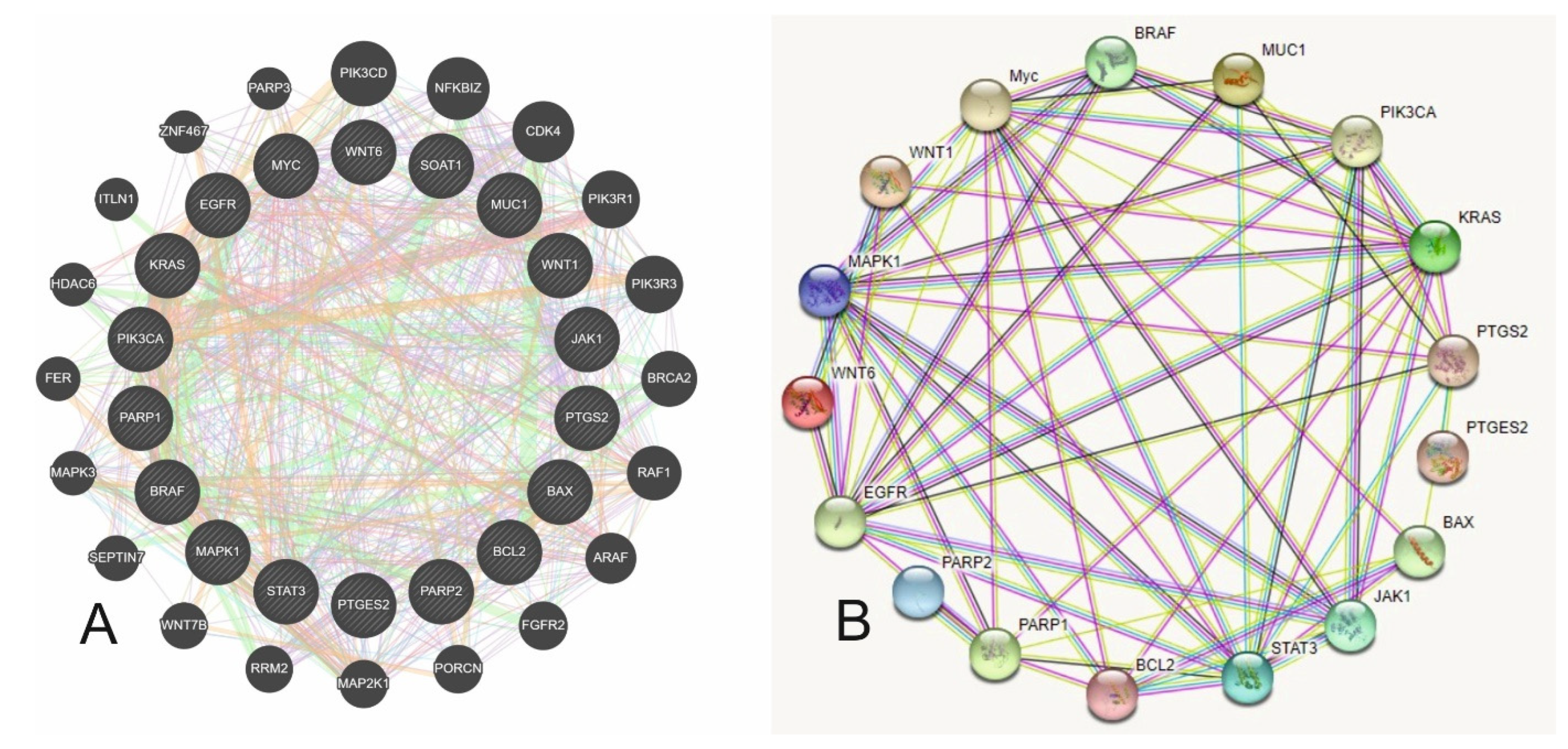 Cancers 16 00223 g002 Cancers 16 00223 g002