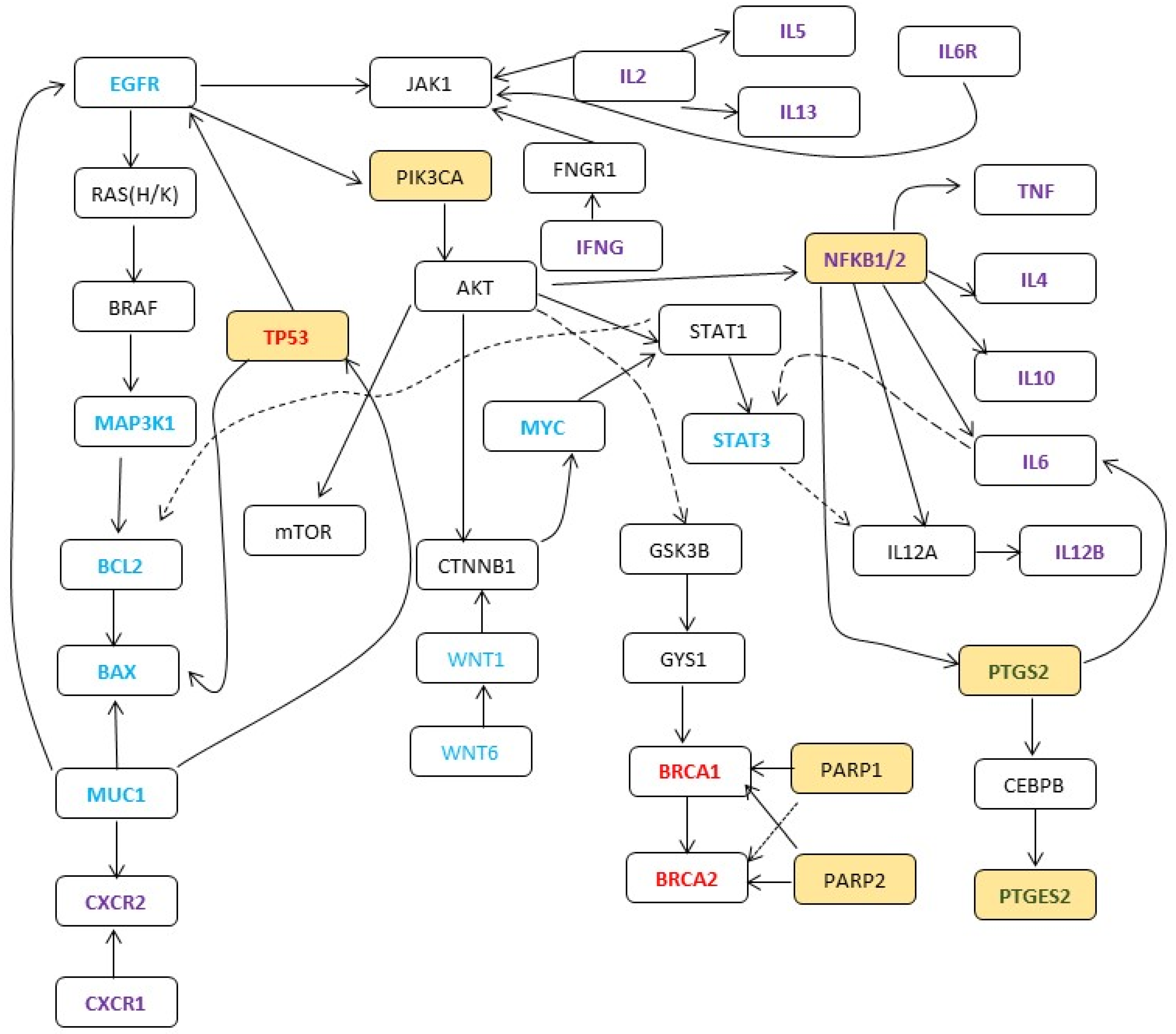 Cancers 16 00223 g004 Cancers 16 00223 g004