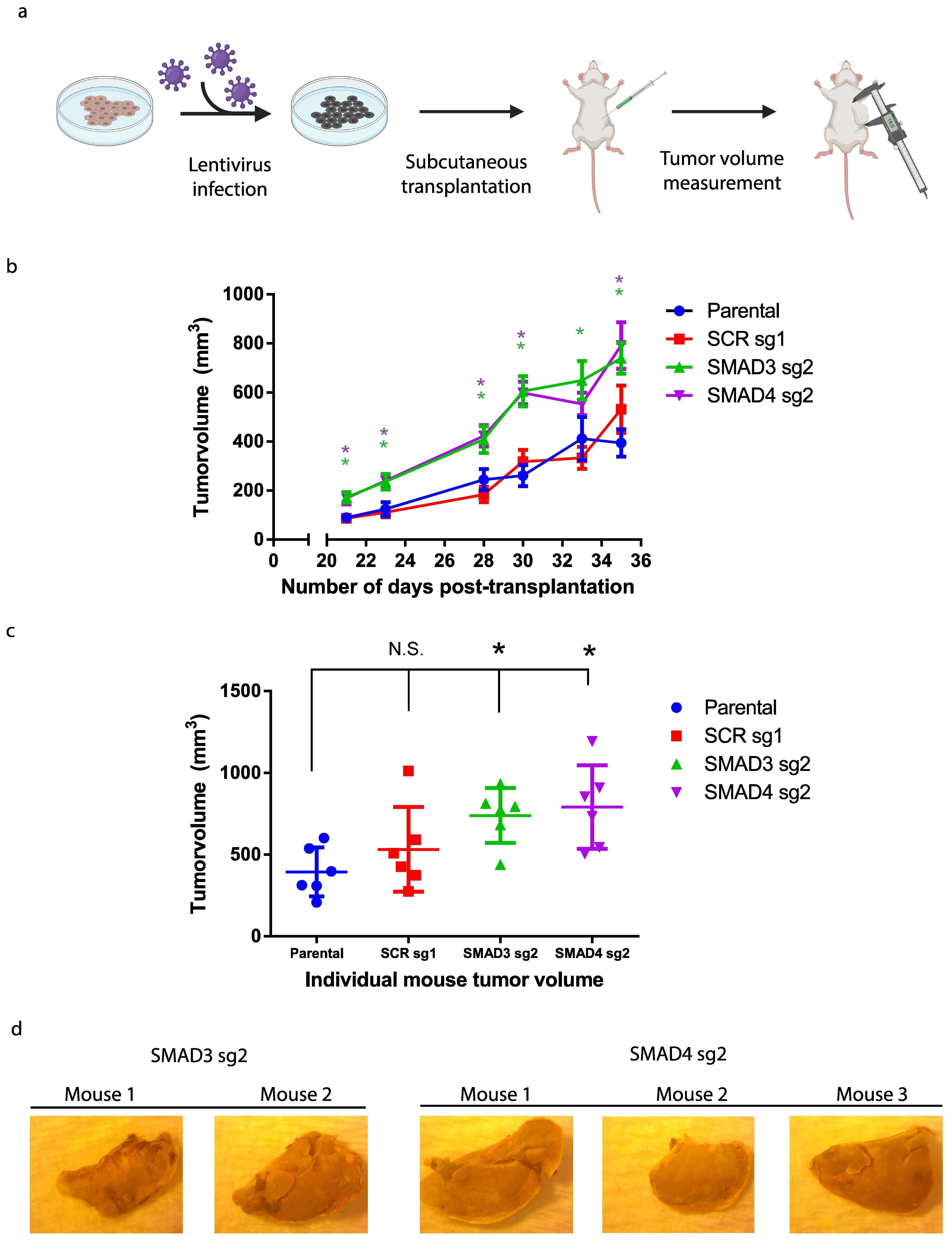 Cancers 16 00224 g004