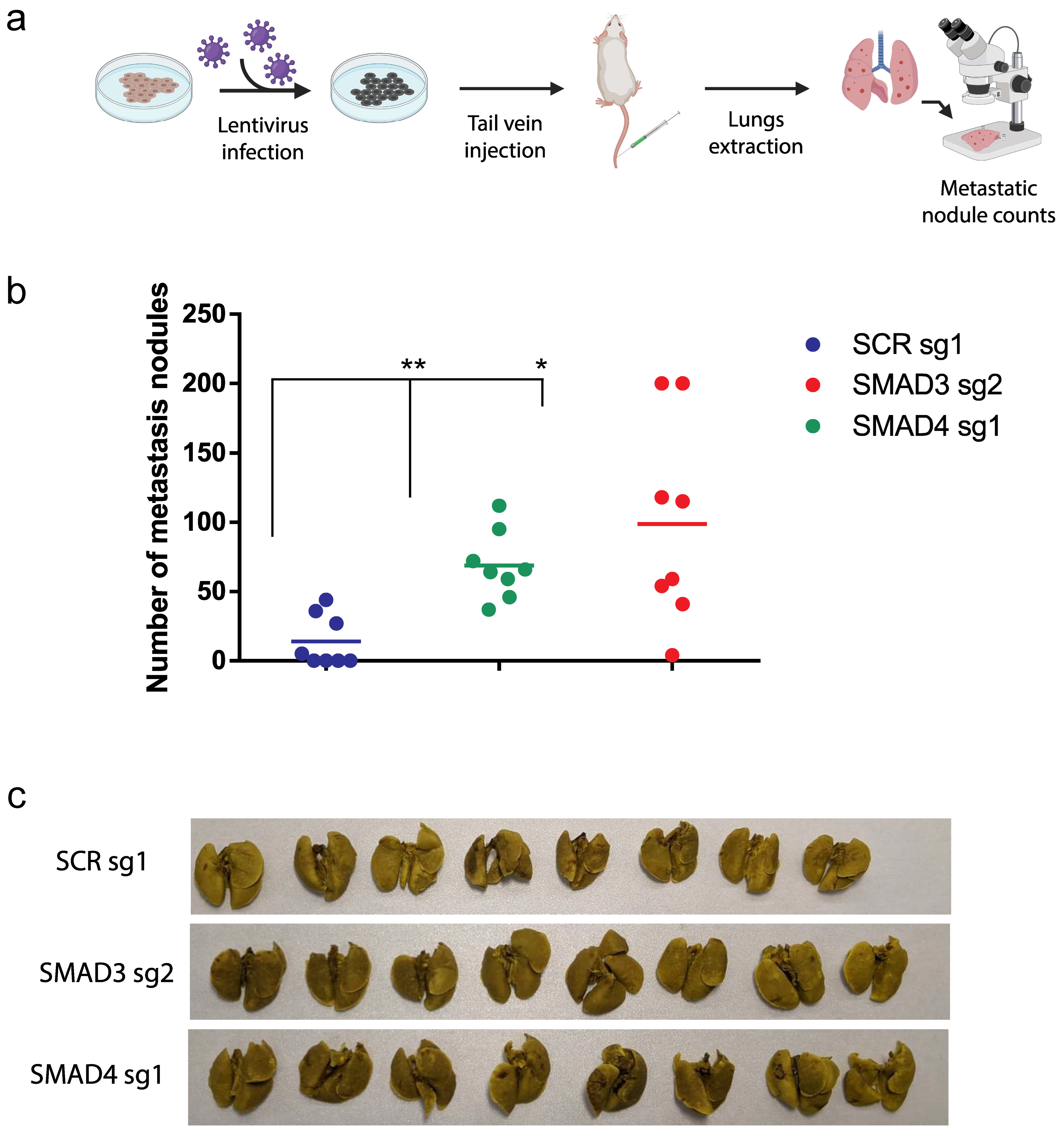 Cancers 16 00224 g005