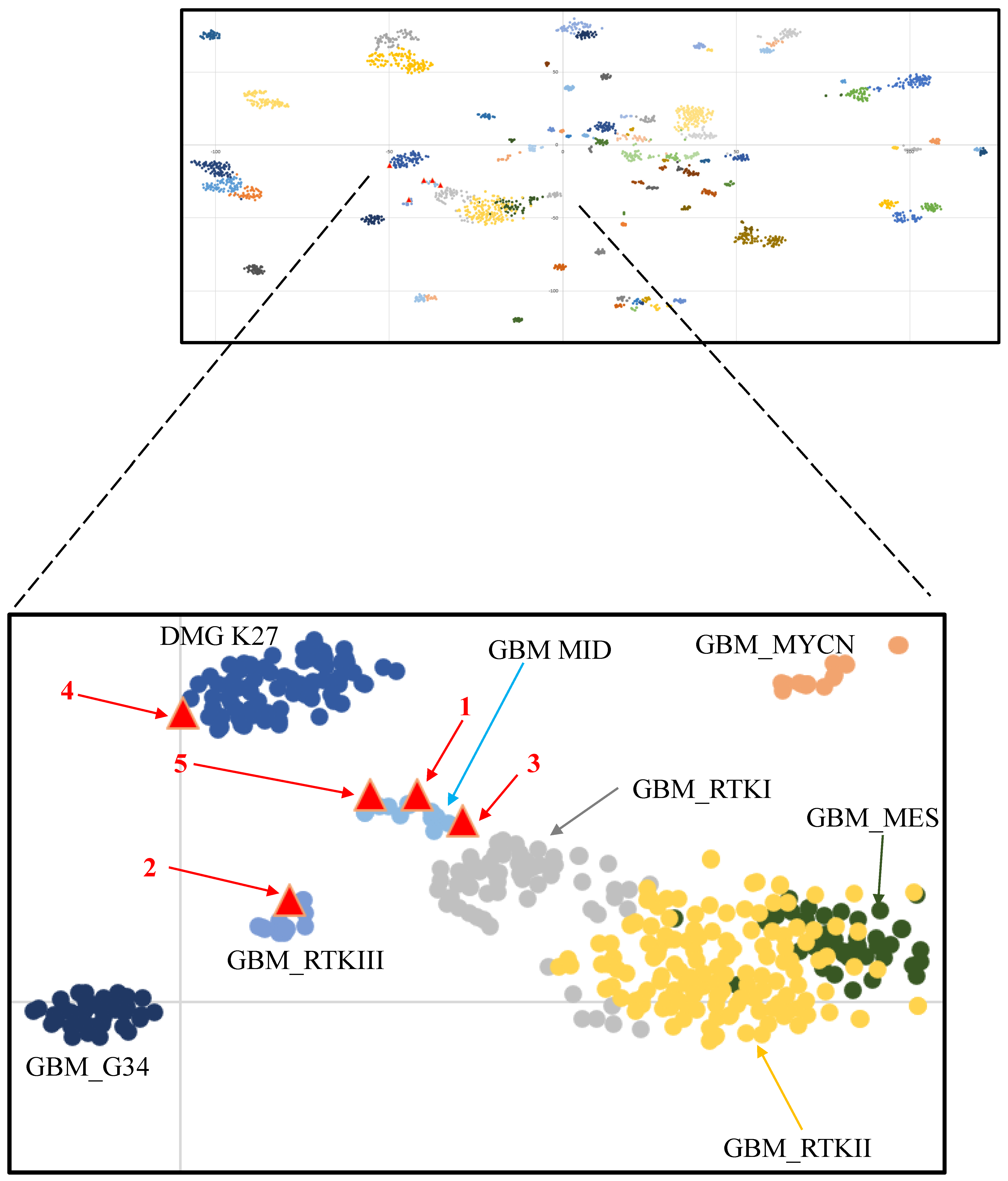 Cancers 16 00232 g003