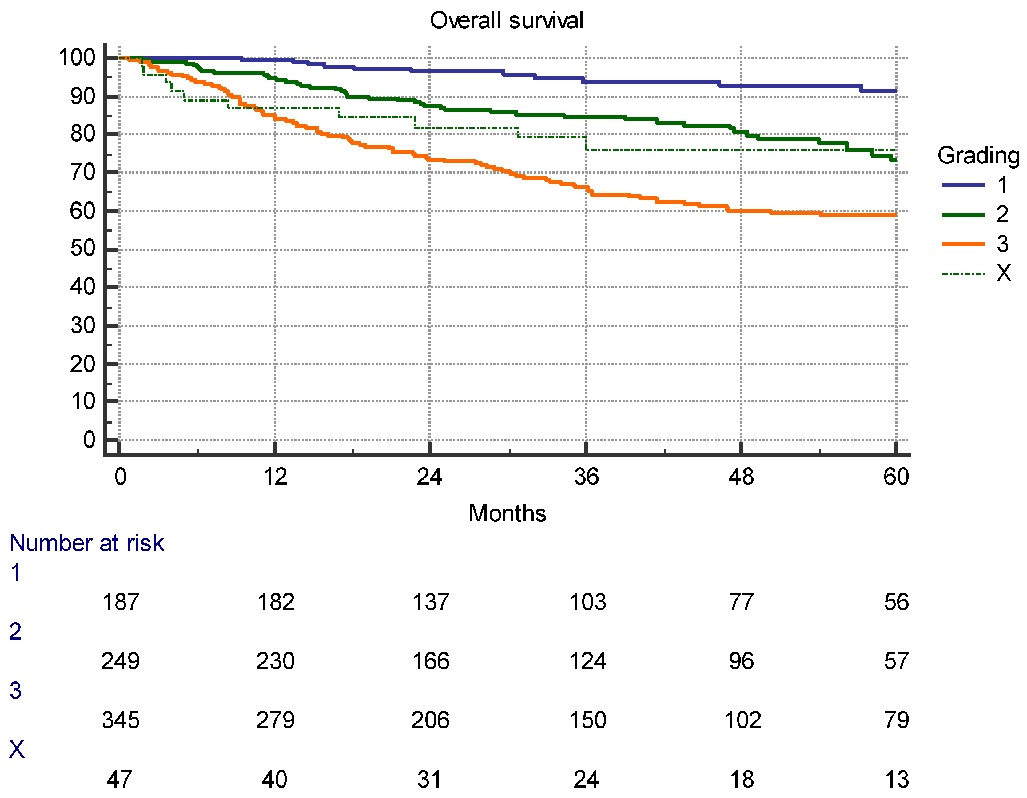 Cancers 16 00239 g001
