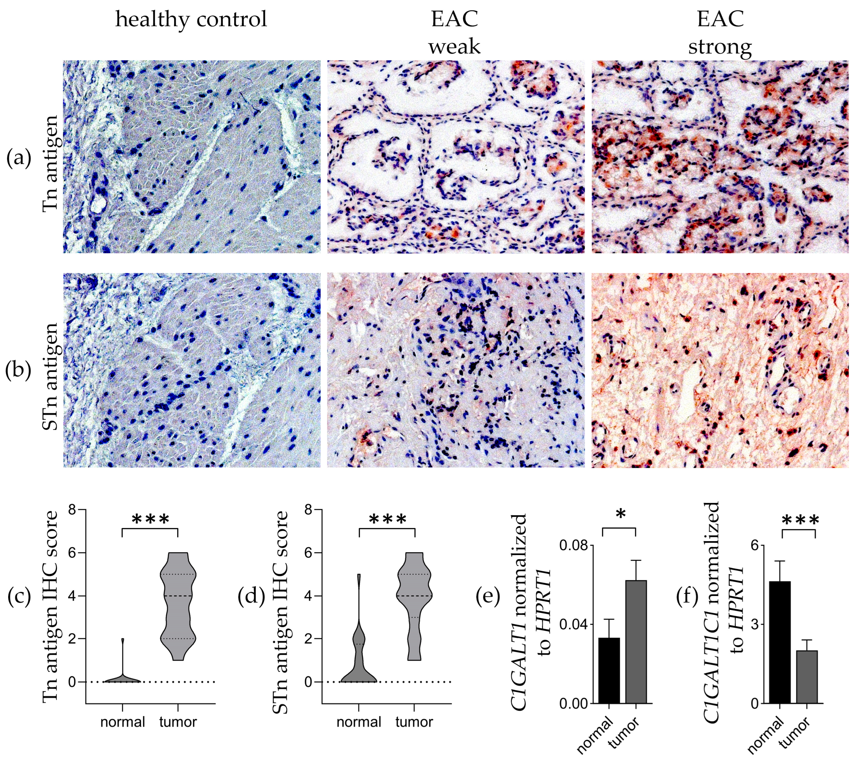 Cancers 16 00240 g001