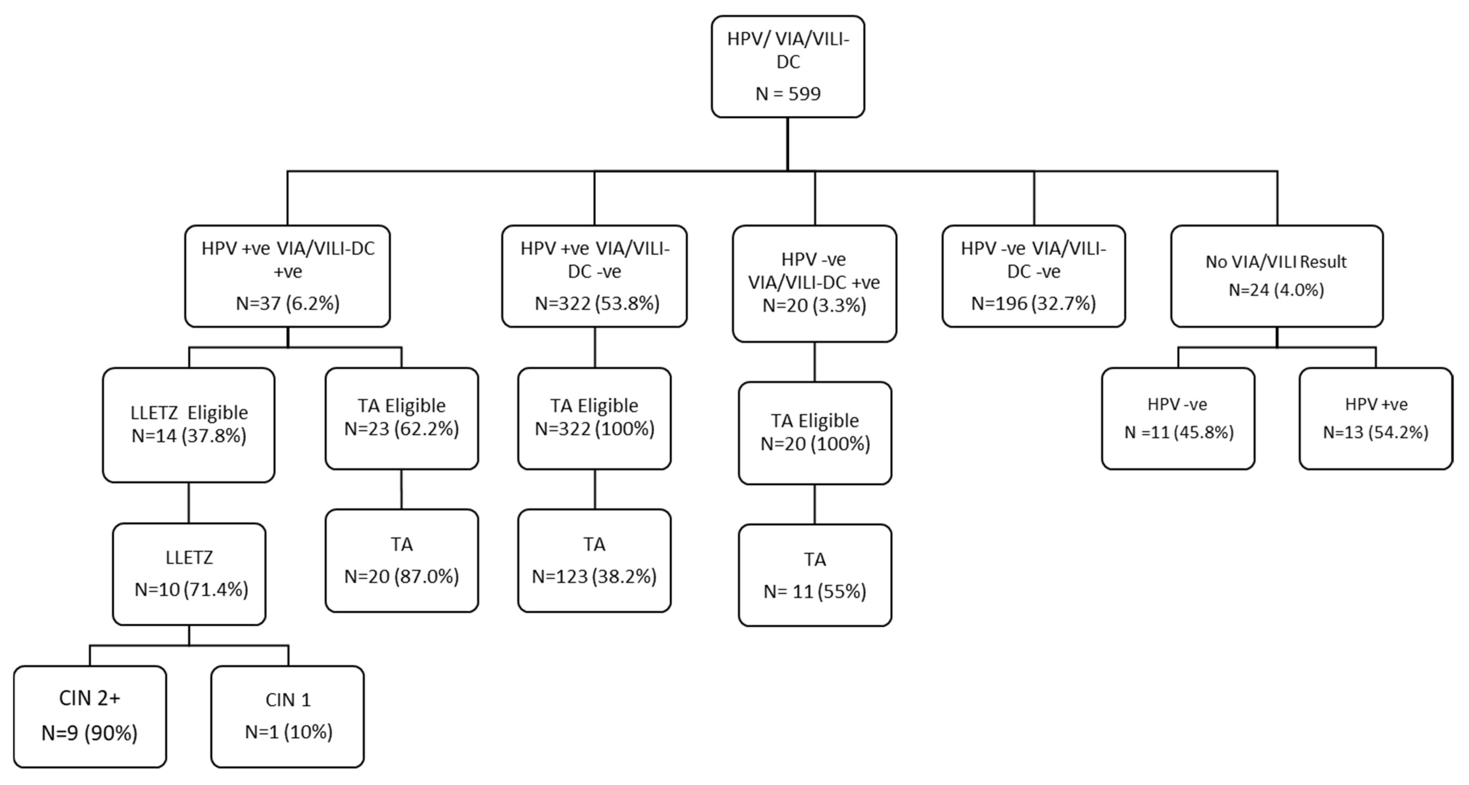 Cancers 16 00243 g001