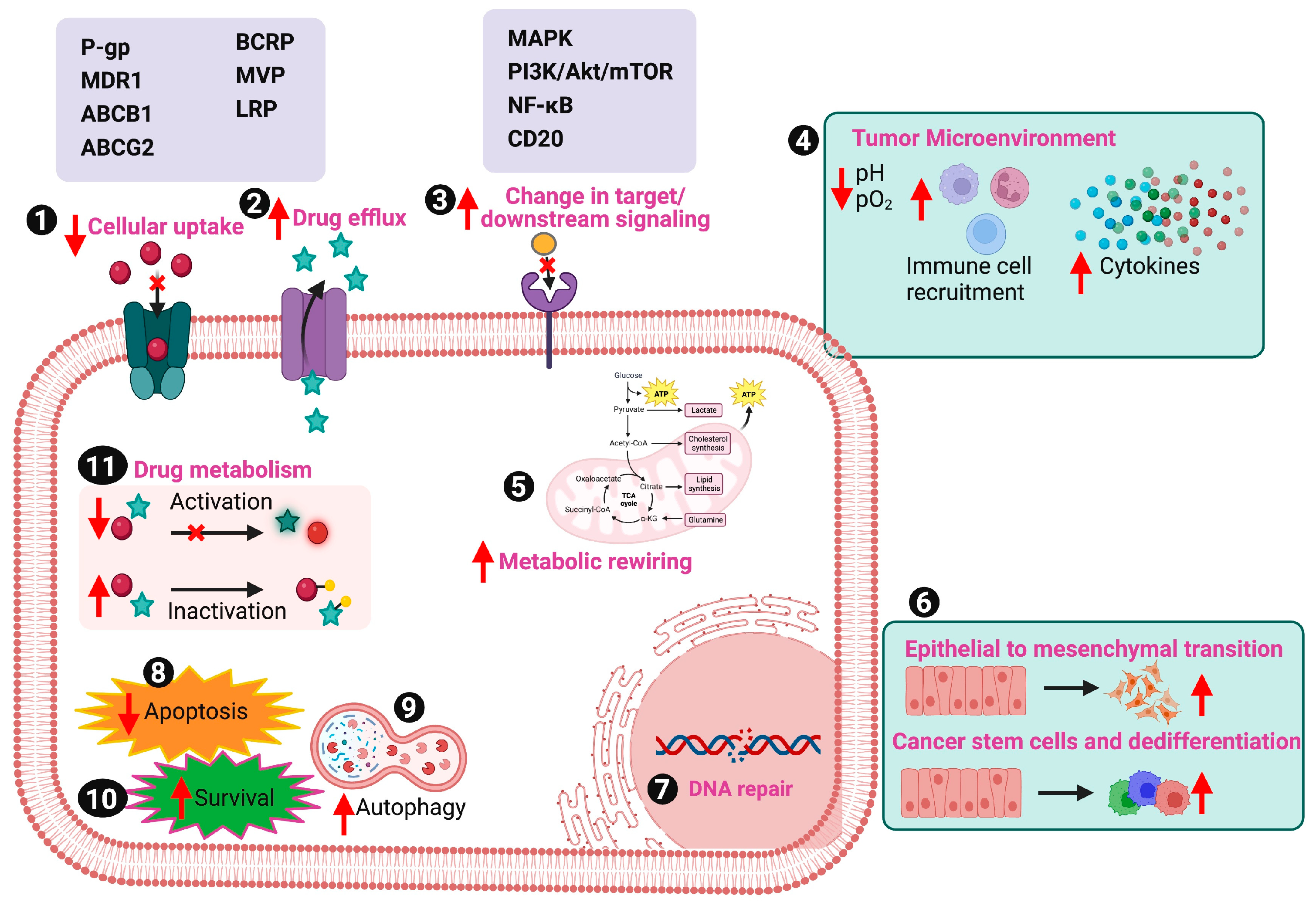 Cancers 16 00244 g001 Cancers 16 00244 g001
